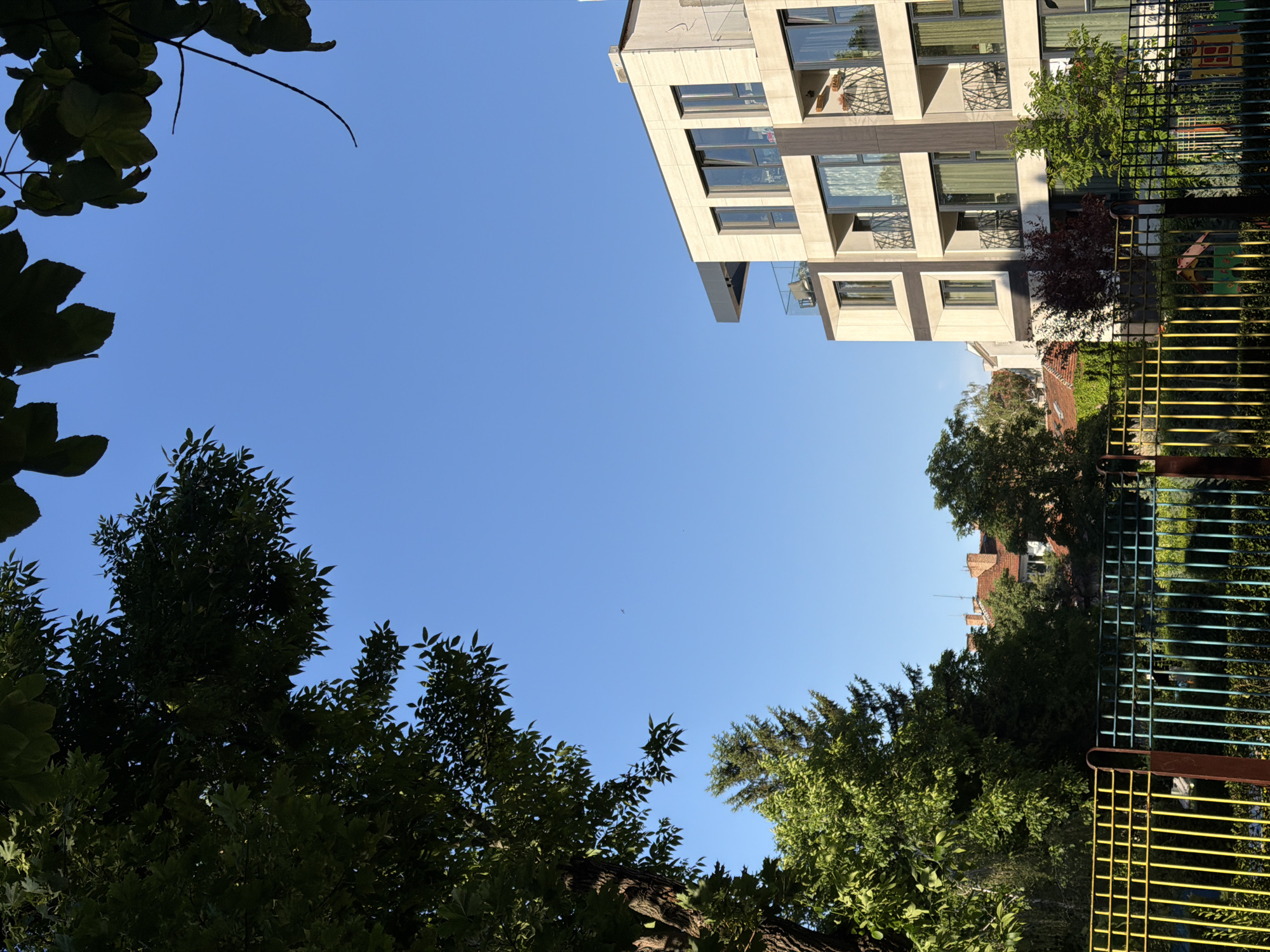 A low-angle shot reveals a clear, blue sky framed by dense greenery and modern architecture. The image appears to have been taken in Sofia, Bulgaria.
The left side of the image is dominated by a dark green tree with large, rounded leaves. On the right, a modern building with a light-colored facade and multiple balconies stands tall. A green metal fence runs along the right side, partially obscuring the view of smaller buildings with red roofs and foliage. The perspective suggests the photo was taken from below, looking up towards the sky and the surrounding structures.