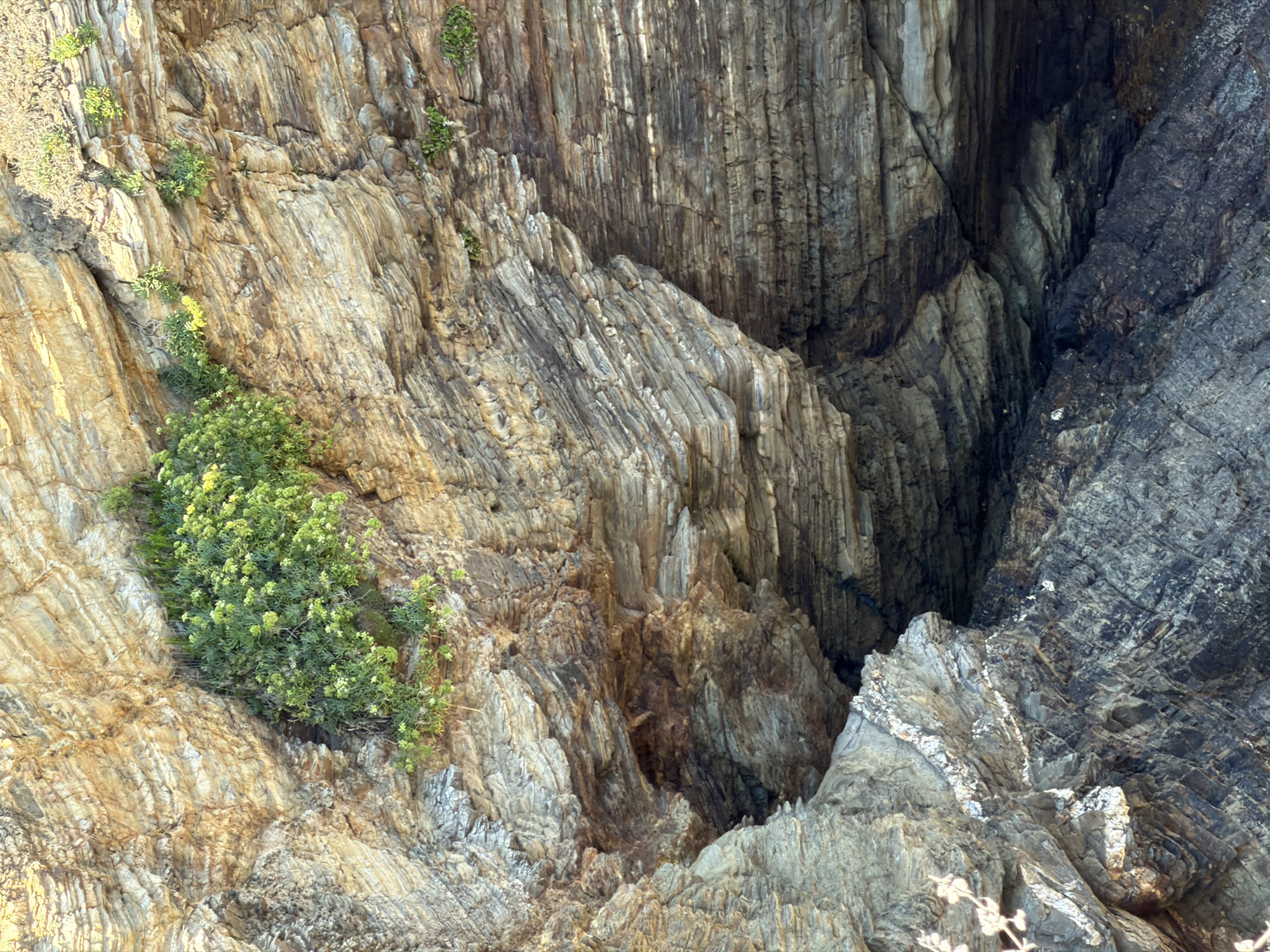 The image shows a close-up view of a stratified rock face, likely a cliffside, in A Rochela, Spain. The rock layers are distinctly visible, varying in color from light tan and beige to darker browns and grays, indicating different mineral compositions and geological strata. In several areas, patches of green vegetation with small yellow flowers are growing out of crevices in the rock. The texture of the rock is rough and uneven, with visible fractures and protrusions. The overall lighting suggests an outdoor environment, possibly under natural sunlight, casting subtle shadows that highlight the depth and texture of the rock formation. No people or animals are present in the frame. The image captures a natural geological formation with resilient plant life adapting to its environment.
