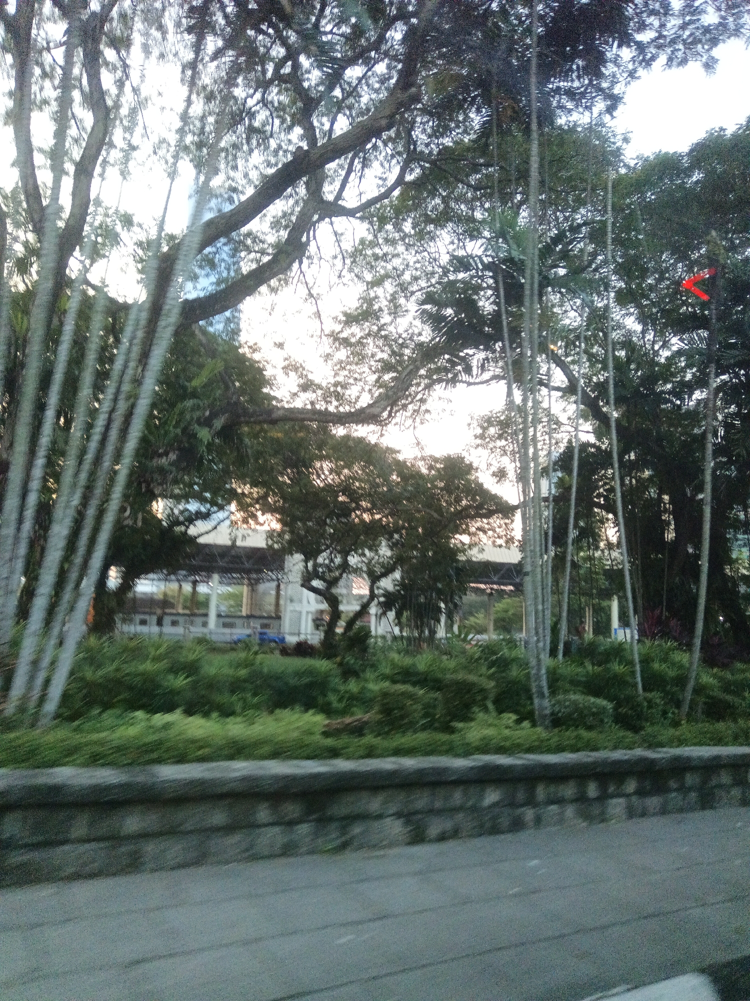 The image shows a view of a roadside with lush green vegetation and trees. In the background, a building with a covered roof and white pillars is visible. A red arrow points towards a tree in the upper right portion of the image. The scene appears to be a park or an urban area with significant greenery. The specific location in Kuala Lumpur, Malaysia cannot be determined from the image alone.
