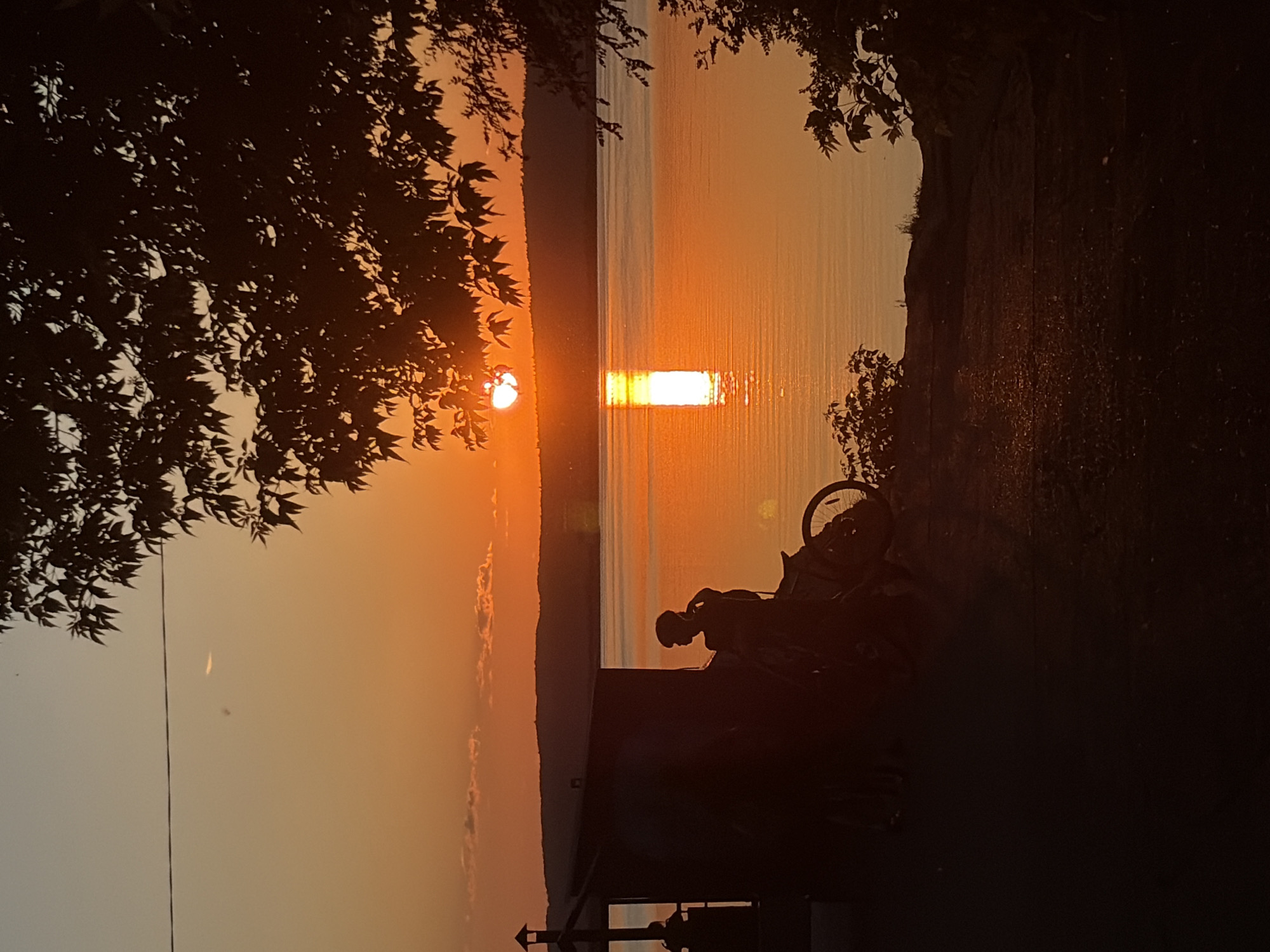 The image depicts a sunset over a wide body of water, likely a lake, in Unknown, Unknown. The sky transitions from a pale blue-grey at the top to vibrant orange and deep red-orange at the horizon. A thin, dark utility line crosses the upper left portion of the sky, where a faint, elongated cloud is also visible.
The sun, an intense orange orb, is positioned slightly right of the vertical center, partially obscured by a dark, undulating silhouette of distant hills or land. Its light creates a prominent, vertical column of bright orange reflection on the calm water surface, which is uniformly colored by the sunset hues.
In the foreground, the upper right is framed by the dark silhouette of a leafy tree branch. The immediate foreground consists of a dark, uneven path or ground. On the left side of the foreground, two dark structures are silhouetted: a smaller building with a peaked roof and, adjacent to it, a larger, rectangular building. The faint silhouette of a person is visible within the smaller structure.
Standing next to the larger building, facing the sunset, is the clear silhouette of an individual who appears to be wearing headwear or has short hair, with one arm raised towards their head. A bicycle, also in silhouette, is positioned next to this person, its wheels and frame visible. Additional dark foliage is present at the lower right and lower left edges of the frame.