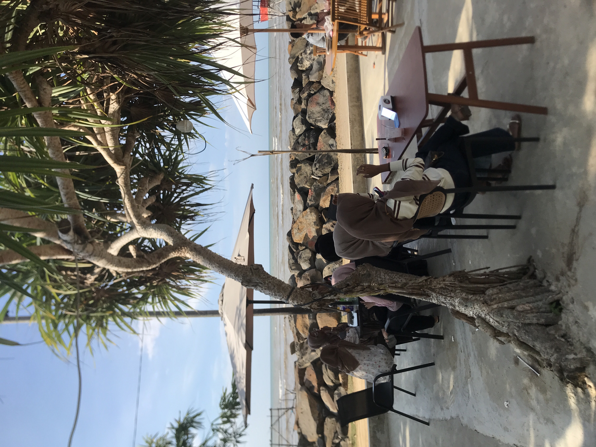 The photograph depicts an outdoor scene near a shoreline. A large, gnarled tree dominates the left side, partially obscuring the view. People are seated at tables, possibly at a cafe or restaurant, along a stone barrier that separates the seating area from the beach. The sea is visible in the background, with a light sky above. Umbrellas provide shade for the patrons. The photograph was taken in Lancok, Indonesia.