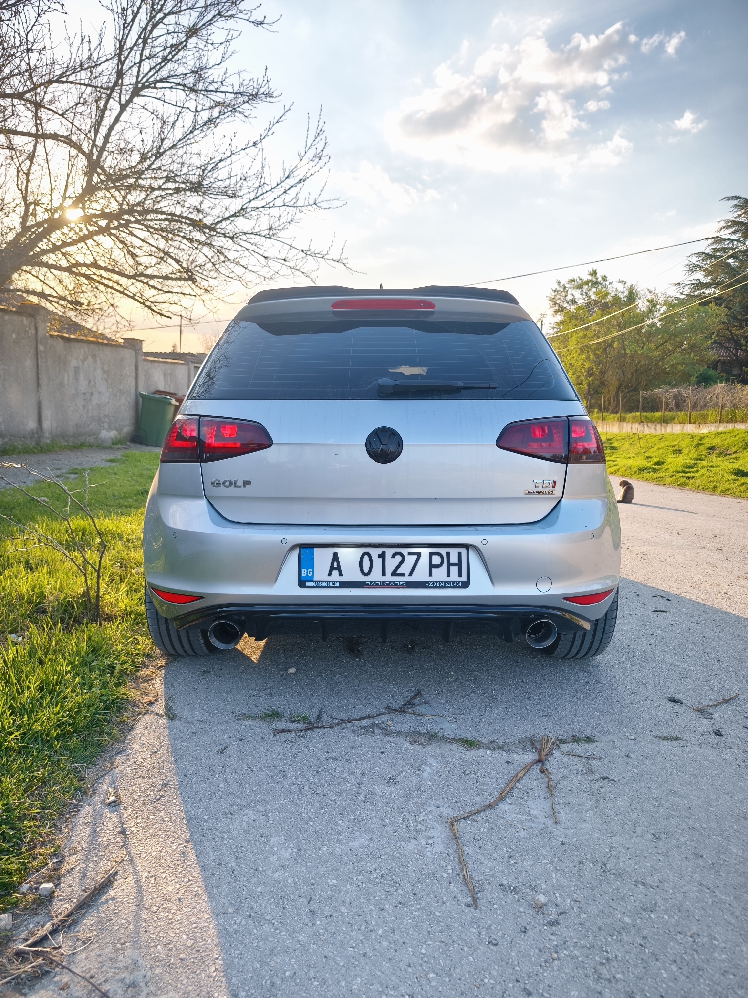 The image is a rear view of a silver Volkswagen Golf, specifically a TDI Bluemotion model, parked on a paved road. The license plate number is A 0127 PH, registered in Bulgaria (BG). The car has aftermarket exhaust tips and a blacked-out VW logo. The background includes a grassy area, a tree, a wall, and another road. A cat is sitting on the road near the grass. The photograph was likely taken in Avren, Bulgaria.