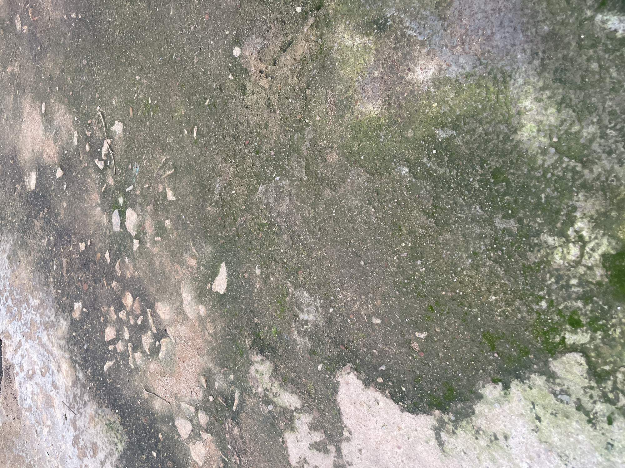 The image shows a close-up, overhead view of a damp, weathered concrete surface with patches of green moss and algae. The concrete is cracked and uneven, with a rough texture. Scattered across the surface are small pebbles, dirt, and a few broken pieces of light-colored material, possibly concrete or stone. In some areas, the concrete appears lighter and drier, while other sections are darker and stained, suggesting prolonged exposure to moisture. The overall impression is of an aged outdoor surface, potentially a pathway or courtyard, in a natural environment. The scene is devoid of any human presence or activity.