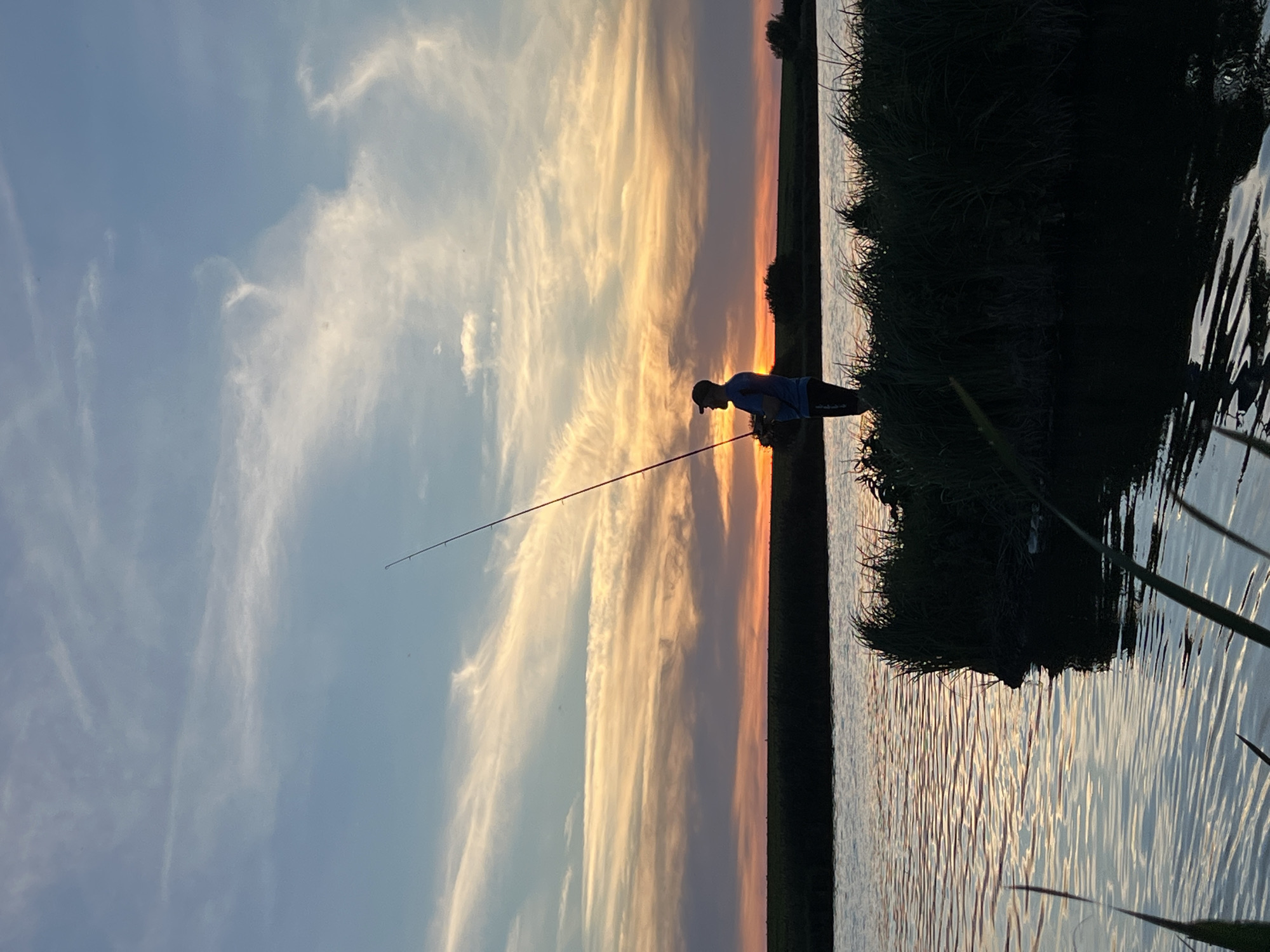 The image depicts a silhouetted person fishing on a small island in a body of water, with a vibrant sunset in the background. The sky is a blend of blues, oranges, and yellows, with wispy clouds. The water reflects the colors of the sunset and has gentle ripples. The island is covered in dark green grass, and reeds are visible along the water's edge in the foreground. The person is standing, holding a fishing rod extended over the water, suggesting an action of fishing. The scene appears to be a tranquil natural setting.