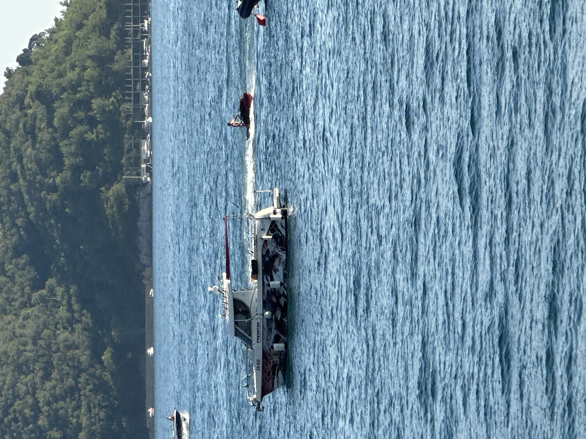 This is a vertically oriented, close-up shot of a body of water, likely the Adriatic Sea, with a tree-covered hillside on the left and a white boat on the right. The water is a vibrant blue, with a textured surface indicative of gentle waves. The hillside is densely covered with green trees.
The primary object of interest is a white boat, which appears to be a speed boat or a small yacht, positioned on the right side of the frame. The boat has a distinct hull design, with a dark graphic pattern and text visible on its side. The text "PREDATOR" is clearly legible, along with a registration number "29-80". The boat has multiple windows and a cabin structure. There are people visible on the boat, though their features are not distinct. One individual is standing near the front of the boat.
In the upper left portion of the image, further out on the water, a person in a red top and dark pants is visible, appearing to be standing on a small structure or platform, perhaps involved in a water sport or activity. There is also a small red flag attached to a pole nearby.
The scene suggests a daytime setting, likely under clear skies given the bright water and greenery. The presence of the boat and the person on the water indicates recreational activity. The location context of Budva, Montenegro, suggests a coastal or bay area, common for such water-based activities. The overall mood is one of leisure and outdoor enjoyment.