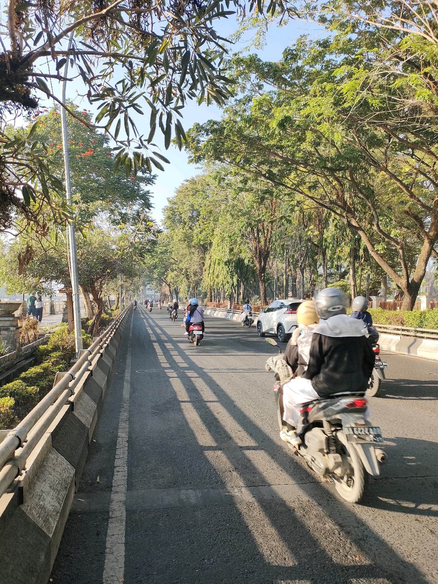 The image depicts a street scene in Banjarmasin, Indonesia, likely during the morning or late afternoon given the long shadows cast across the asphalt road. The road is bordered by a concrete barrier with a metal railing on one side, and a lush green embankment with manicured bushes. On the other side of the road, a line of trees with dense green foliage forms an avenue, with some of the branches extending over the road. A white car is visible in the middle distance, and several motorcycles are navigating the road. In the foreground, two people are riding on a motorcycle, with the person in the back wearing a black jacket and the person in front wearing a light-colored garment and a helmet. The sky is clear and blue. The overall impression is of a busy urban street with significant tree cover and active traffic.