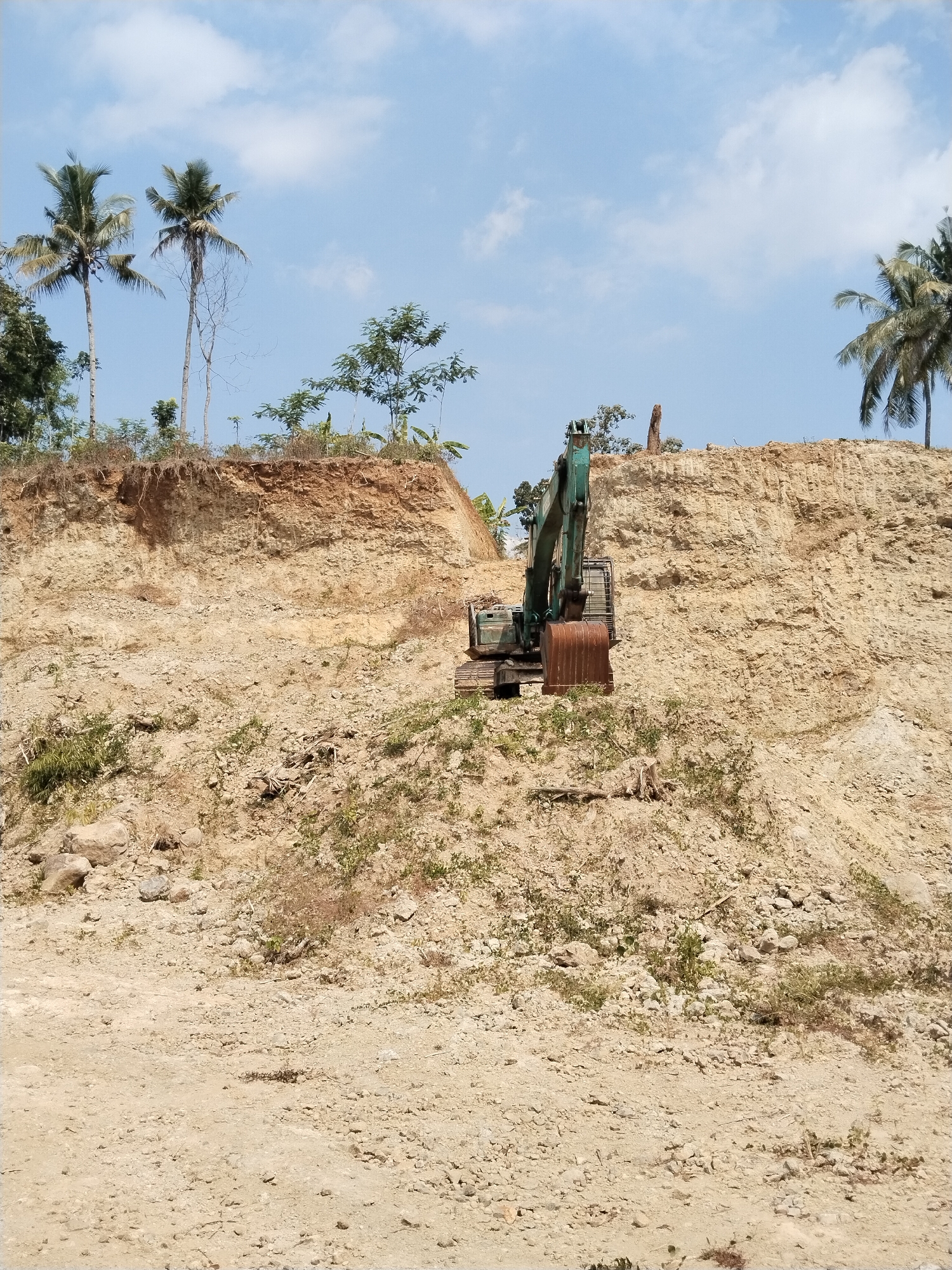 A wide shot shows an excavator situated on a large, excavated dirt embankment under a blue sky with scattered clouds. The embankment is composed of layered soil and rock, with some sparse vegetation growing on its surface and at its base. Several palm trees are visible on the ridge of the embankment, with one on the far left, two in the center left, and another on the far right. The excavator, a green machine with a large, rusty bucket, is positioned in the middle of the embankment, appearing to be stationary. The ground in the foreground is rough and sandy with scattered rocks and small plants. The scene appears to be a construction or excavation site.