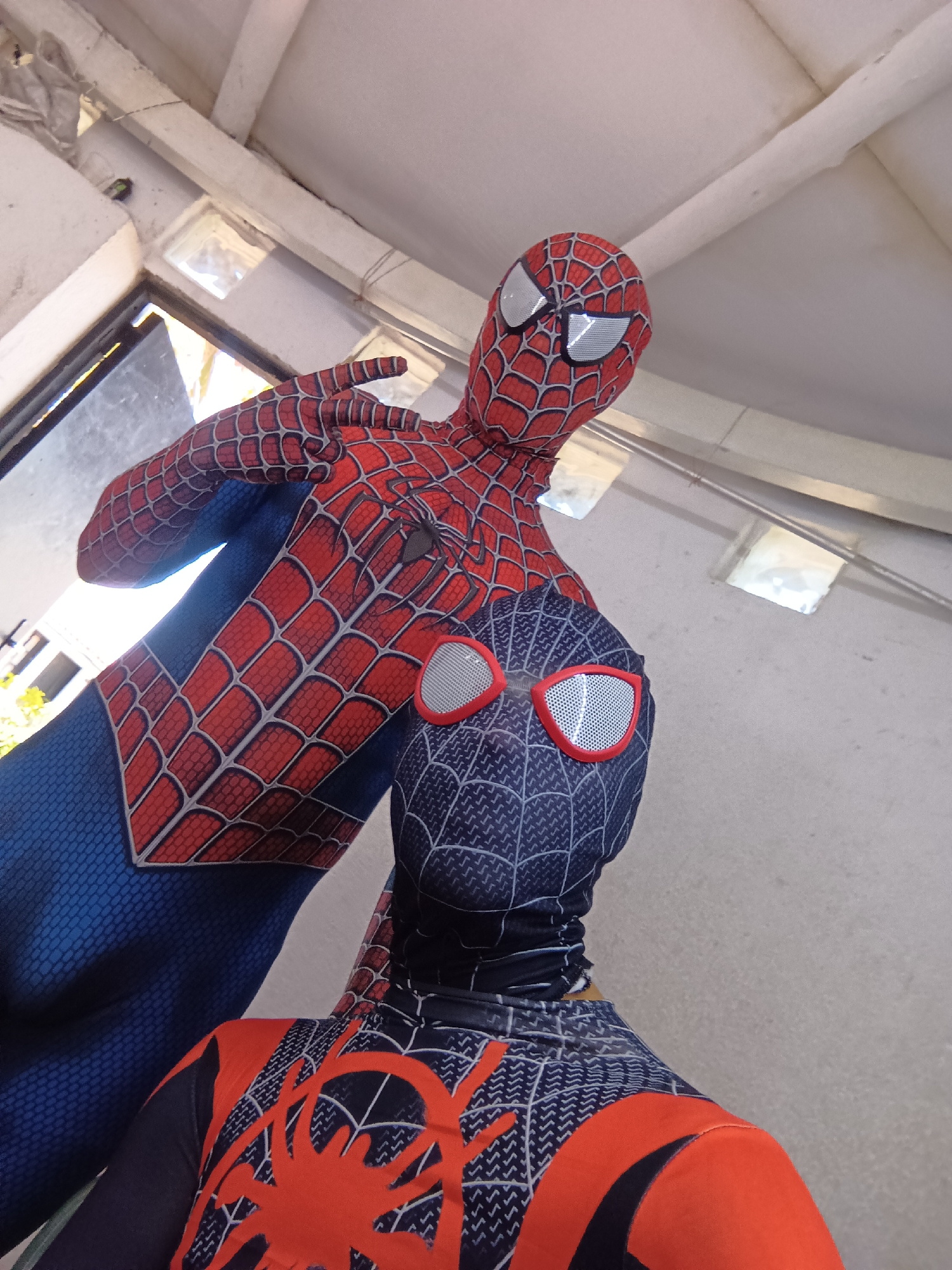 The image shows two Spider-Man figures, one appearing to be a classic Spider-Man and the other resembling Miles Morales' Spider-Man. The figures are likely mannequins or cosplayers. They are positioned in an indoor setting with a window and a white, slightly weathered wall in the background. The location may be in Porlamar, Venezuela based on the prompt, although no details in the image can definitively confirm the exact location. The lighting is bright and diffused.