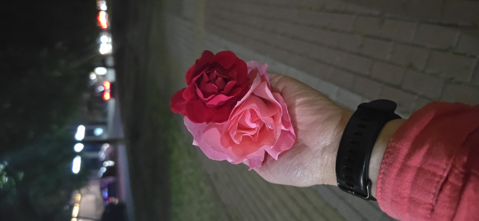 A photograph taken at night shows a person's hand holding two roses against the backdrop of an urban setting. The rose closer to the viewer is a soft pink, while the other is a darker, red hue. The person is wearing a black fitness tracker on their wrist, and a red shirt is visible. In the background, there is a blurred view of a street with lights, indicating a cityscape. The location cannot be confirmed as Grozny, Russia based on the image provided.