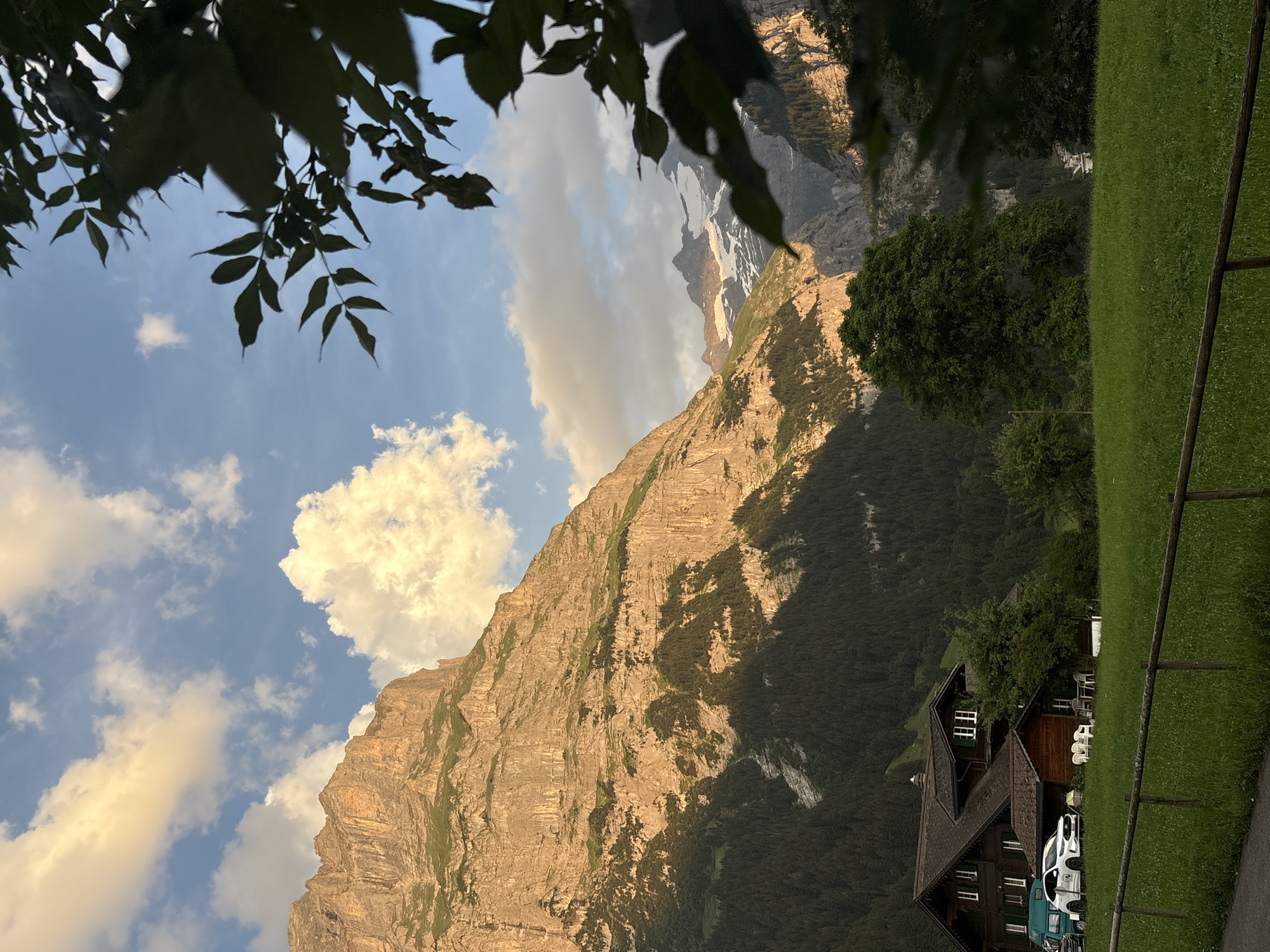 This is a landscape photograph, taken outdoors with a vertical orientation. In the foreground, dark green leaves hang from branches, partially obscuring the view of a vast, sun-drenched mountain face. The mountain is rugged and steep, with visible striations and patches of green vegetation clinging to its surface. Shadows are cast dramatically across the mountain, indicating the time of day.
Beyond the mountain, in the middle ground, is a dark, dense forest that covers the lower slopes. A few scattered white buildings with dark roofs are nestled within the trees or on the edge of the forest. These appear to be houses or chalets. In the lower right corner of the image, there is a well-maintained, bright green grassy lawn. A dark wooden fence runs along the edge of the lawn.
The sky is a vibrant blue, dotted with fluffy white and golden-tinged clouds, suggesting either sunrise or sunset. The lighting on the mountain, with its warm golden hues and strong shadows, further supports this. The overall scene is one of natural grandeur and tranquility, with a hint of human presence through the buildings and the well-kept lawn. The location appears to be a mountainous region, likely in the Swiss Alps given the architectural style of the buildings and the landscape. There is no visible text in the image.