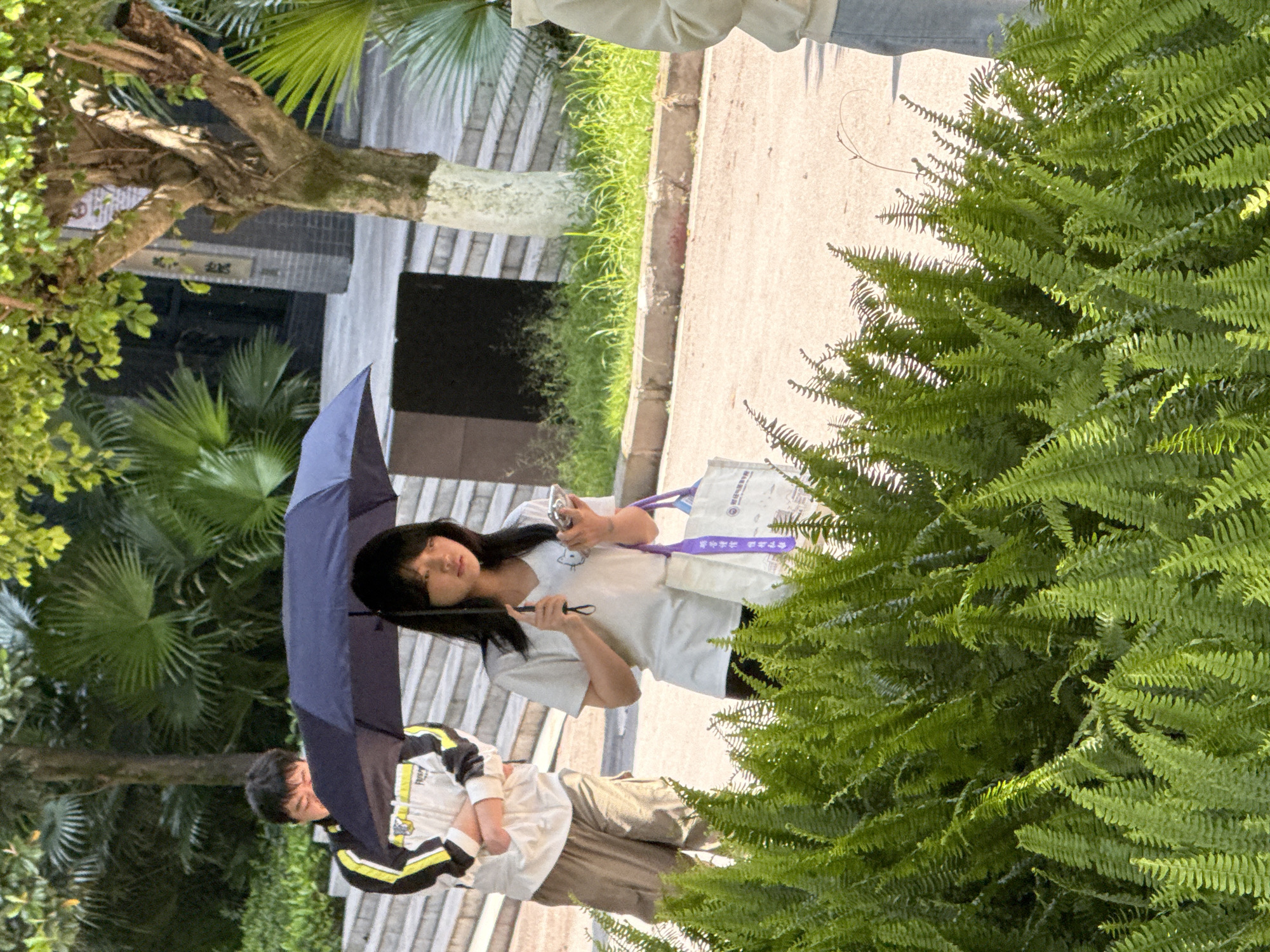 This outdoor photograph, taken in Jiangjin, China, captures two young individuals amidst lush greenery on a bright day. The scene features a paved pathway, bordered by grass and various trees, including large ferns and palm-like trees, indicating a subtropical environment.
In the foreground, a young woman with long dark hair and bangs is holding a dark blue umbrella, providing shade. She wears a light-colored short-sleeved top and dark pants. In her right hand, she holds a smartphone, and a white tote bag with purple straps hangs from her left shoulder. The bag displays blue and purple text, which includes Chinese characters, likely a university name (e.g., "Chongqing University"), and potentially some English text. Her expression is neutral as she looks slightly past the camera.
Partially visible behind the woman and beneath the umbrella is a young man. He is wearing a jacket with yellow, black, and white stripes over a light-colored shirt, paired with light brown shorts. His face is partly obscured, and he appears to be looking forward.
In the background, a multi-story building is visible through the foliage, with some unclear Chinese characters on its facade. The bright lighting suggests it is daytime, with direct sunlight casting highlights on the abundant greenery. The use of the umbrella implies protection from strong sun.