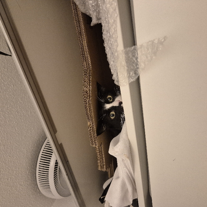 A black and white cat peers out from a partially open closet. The cat's eyes are wide and focused. The closet contains a cardboard box, bubble wrap, and a white towel. A white vent or fan is visible on the wall outside the closet. The closet door is white.