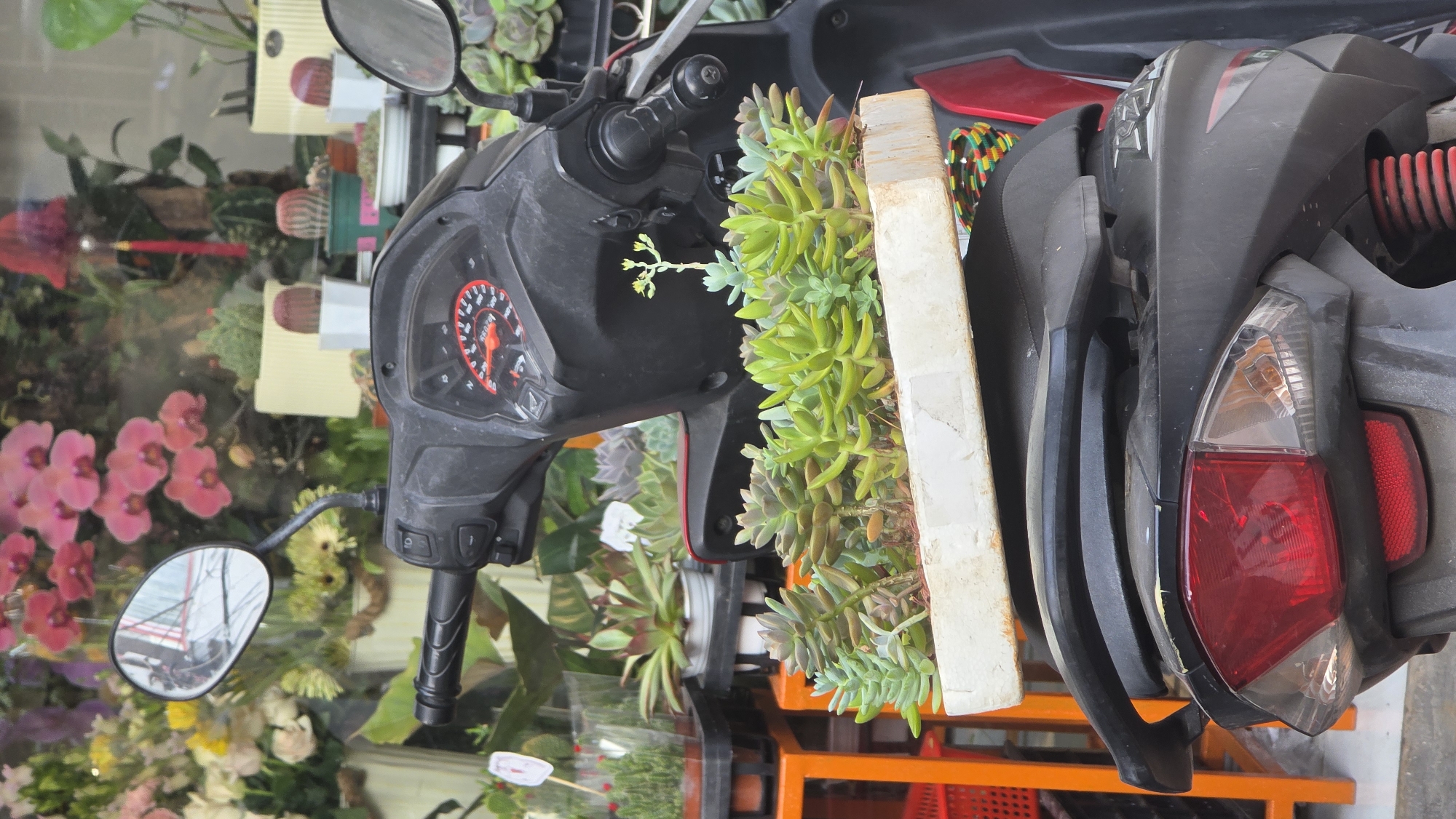 A medium shot depicts a motorcycle parked in Nha Trang Ward, Vietnam. The motorcycle is a mix of black and red and features a plant growing out of the front, with a light-colored wooden frame around it. The motorcycle is parked adjacent to a florist shop with a variety of flowers visible in the background including orchids and roses. The reflection of the shop is visible in the motorcycle mirrors.