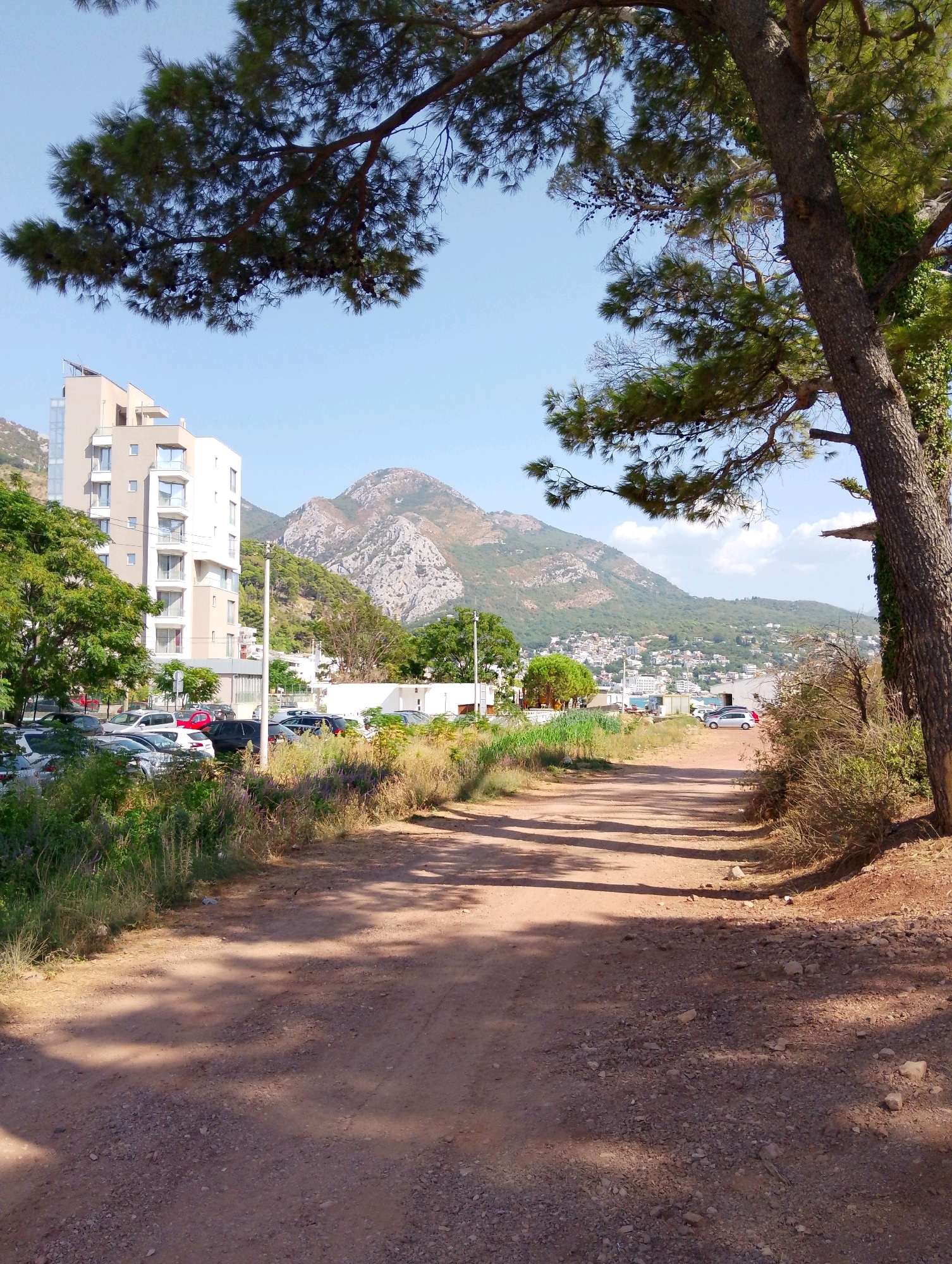 This image captures a sun-drenched dirt road leading towards a coastal town, likely Sutomore, Montenegro. A large pine tree with sprawling branches dominates the right side of the frame, casting dappled shadows across the road. To the left, a modern, multi-story building with a light-colored facade stands tall, flanked by a parking lot filled with various cars. In the background, a rugged, mountainous landscape rises behind the town, which is densely packed with buildings and stretches towards the sea. The sky is a clear blue with a few wispy clouds. The vegetation along the roadside is lush and green, with a mix of trees, bushes, and wildflowers. The overall scene evokes a sense of a summer day in a Mediterranean coastal region.