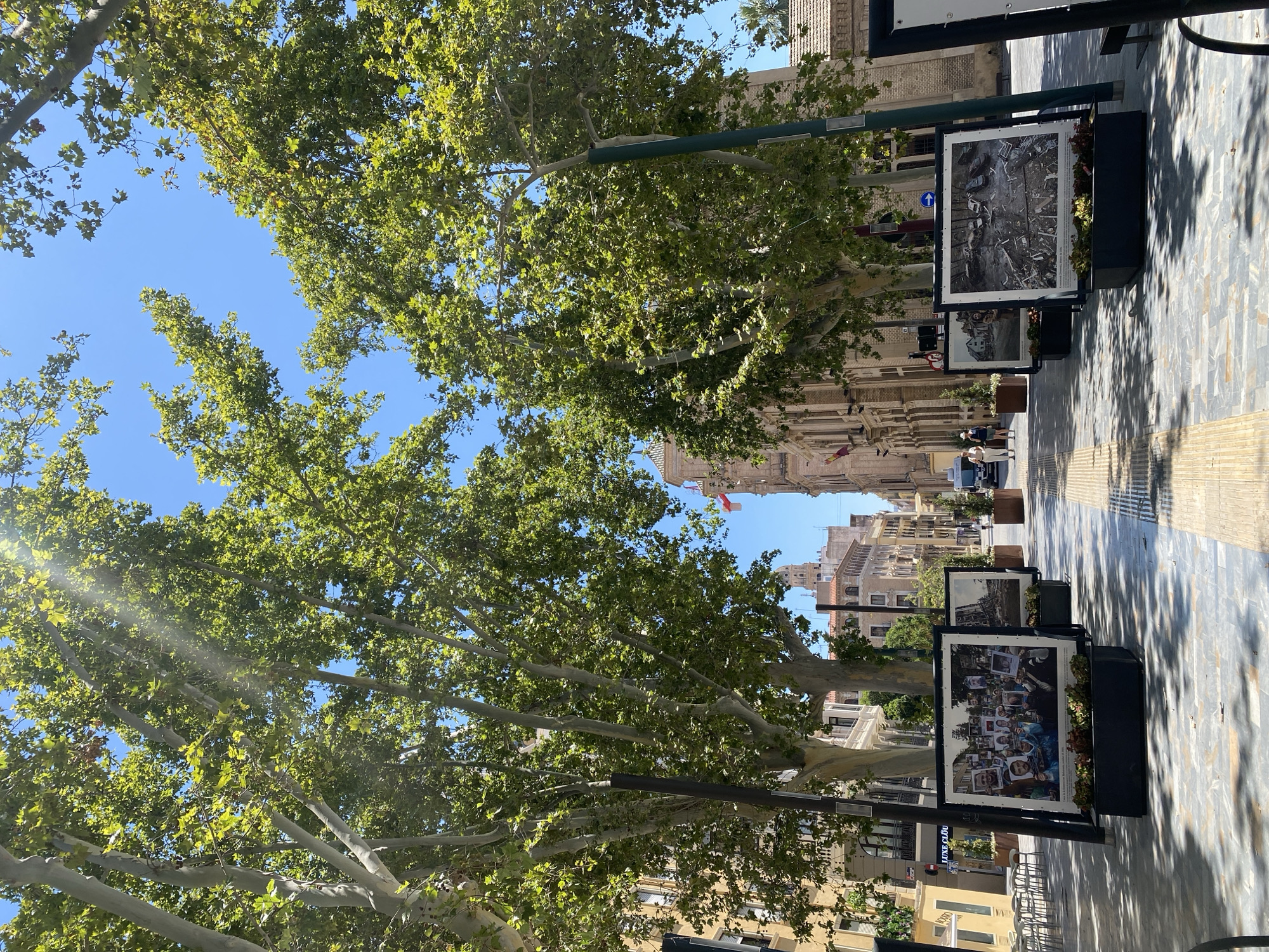 This image captures an outdoor exhibition on a sunny day, likely in the late morning or early afternoon, judging by the bright sunlight and clear blue sky. Tall, leafy trees, possibly plane trees, dominate the foreground, their branches arching over a tiled pedestrian walkway. Sunlight filters through the leaves, casting dappled shadows on the ground.
The exhibition features framed photographs displayed on stands along the walkway. One prominent display showcases a collage of portraits of people, many wearing headscarves. Another, positioned slightly further back, shows a black and white image of what appears to be a destroyed urban environment. The architectural style of the buildings lining the street, with their ornate facades and balconies, suggests a European city. Some of these buildings have a light beige or stone color.
People are visible walking along the path, suggesting this is a public area, possibly a shopping street or a plaza. The overall mood is serene, with the natural beauty of the trees contrasting with the historical and perhaps somber content of the photographs. There is a sense of civic engagement with the displayed art.
Visible text on one of the photo displays includes what appears to be an exhibition title and a date, "March 2015," for the black and white photograph. Another sign on a storefront in the background has partial text visible, including "LUXE E-DOU." The presence of outdoor seating at a cafe further indicates a lively urban setting. The location context provided is Murcia, Spain, which aligns with the Mediterranean feel of the scene.