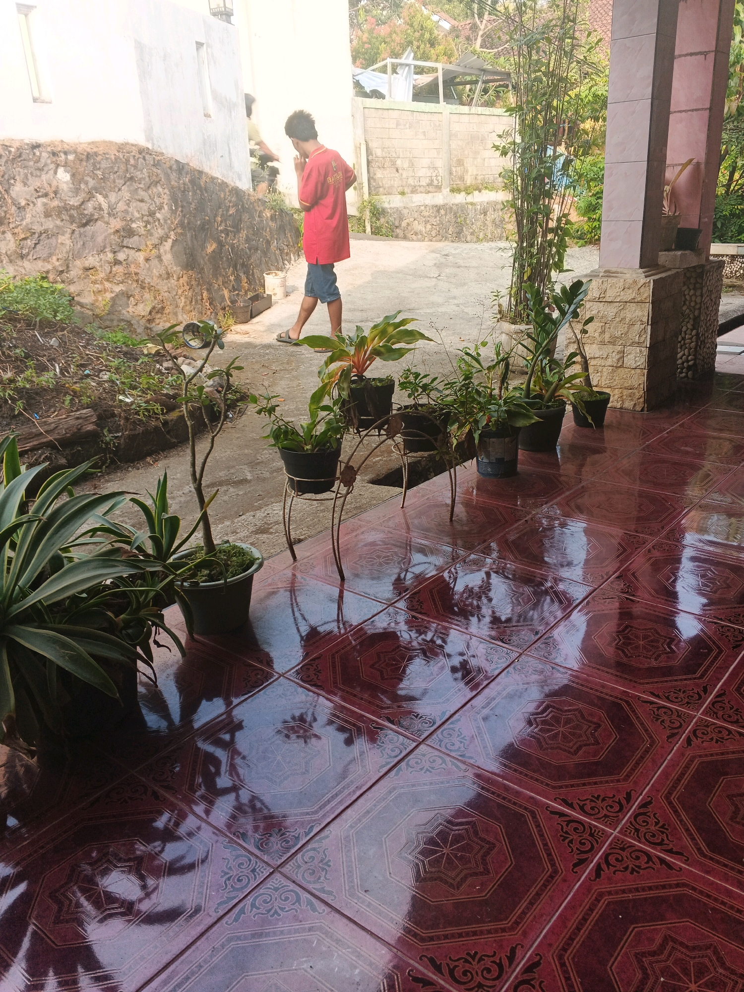 The image depicts a residential area in Keji, Indonesia, characterized by a paved patio with dark red octagonal tiles featuring intricate patterns. The patio is wet, reflecting the surrounding environment. Several potted plants are arranged on the patio, including a tall bamboo plant near a pillar constructed of light-colored stone blocks and pink tiles, and various smaller plants in dark pots.
In the background, a young boy wearing a red shirt and blue shorts stands on the patio, facing away from the camera and towards a white wall. He appears to be observing something off-camera. Adjacent to the wall is a stone embankment with vegetation. Further in the background, a rustic fence and trees are visible, suggesting a rural or semi-urban setting. The lighting indicates it is daytime, with sunlight casting shadows.