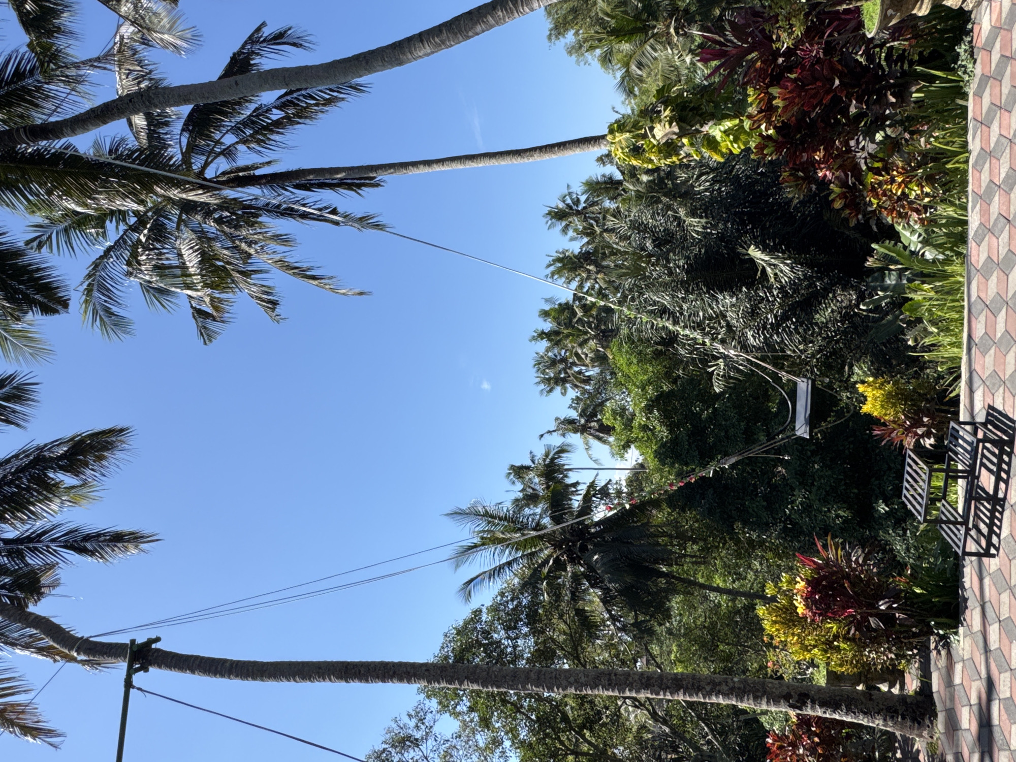 In Sukawati, Indonesia, an outdoor scene unfolds under a clear blue sky, featuring lush greenery and a swing. Two tall palm trees frame the shot, with one on the left supporting a swing apparatus consisting of a horizontal bar and ropes. The swing itself, a simple wooden plank, is suspended in mid-air, casting a subtle shadow.
In the foreground, a tiled patio with a diamond pattern in red and beige leads to a dark, slatted metal stand. The patio is bordered by vibrant foliage, with plants displaying a spectrum of colors from deep red to bright yellow. Behind the patio and plants, dense tropical vegetation forms a verdant backdrop. The overall impression is one of a tranquil, tropical setting, likely a resort or private residence in the heart of Sukawati.
