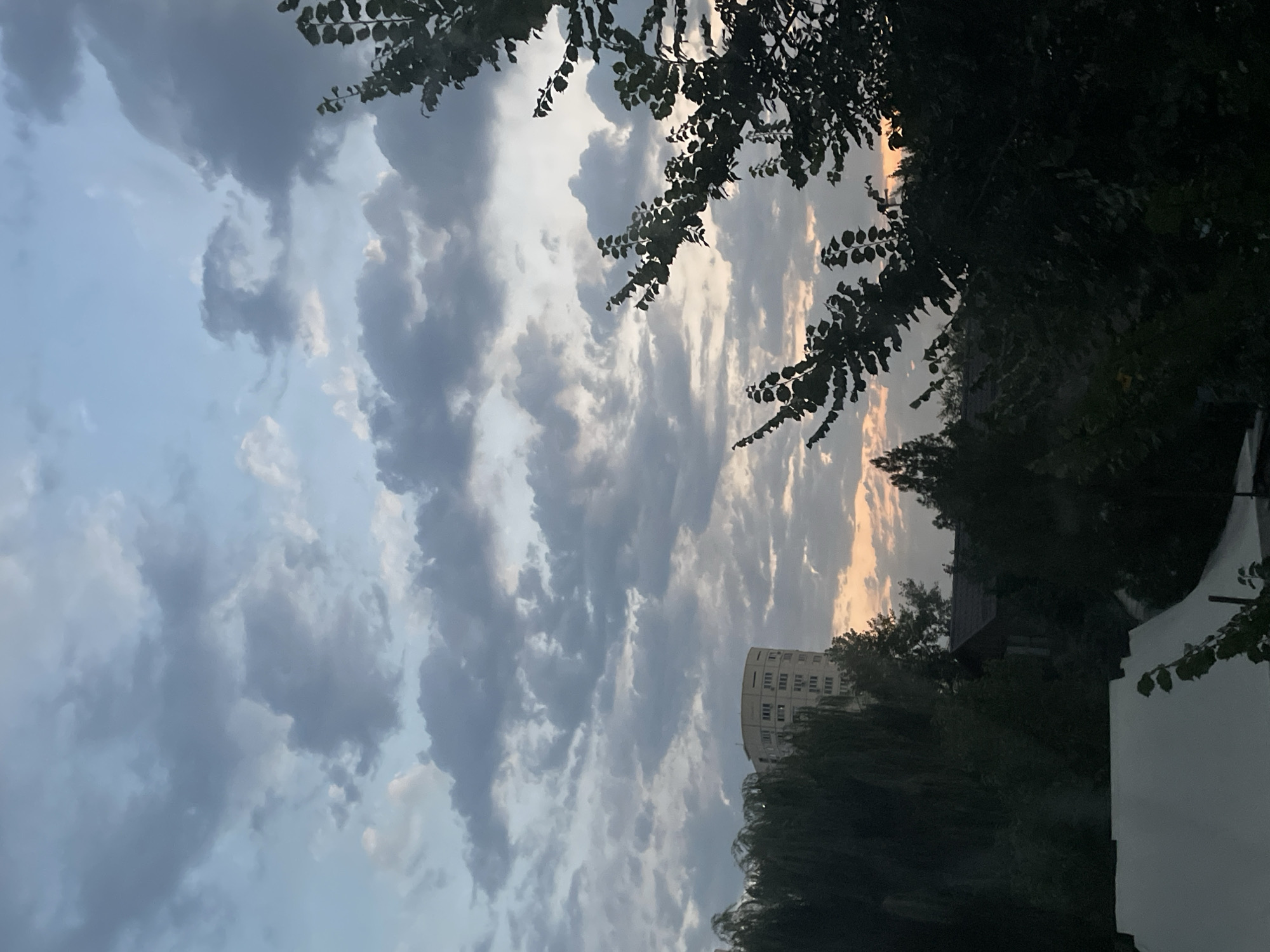 The image captures a twilight scene in Almaty, Kazakhstan. In the foreground, dark silhouettes of trees and foliage frame the view. A portion of a white, possibly tarpaulin-covered structure is visible in the lower left corner. In the mid-ground, several trees and the roof of a building are discernible. Further in the background, a tall, cylindrical building with visible windows stands out against the sky. The sky is filled with a mix of dark and light gray clouds, with streaks of orange and pink light suggesting the setting or rising sun. The overall atmosphere is one of a serene, possibly urban or suburban, evening in Almaty.