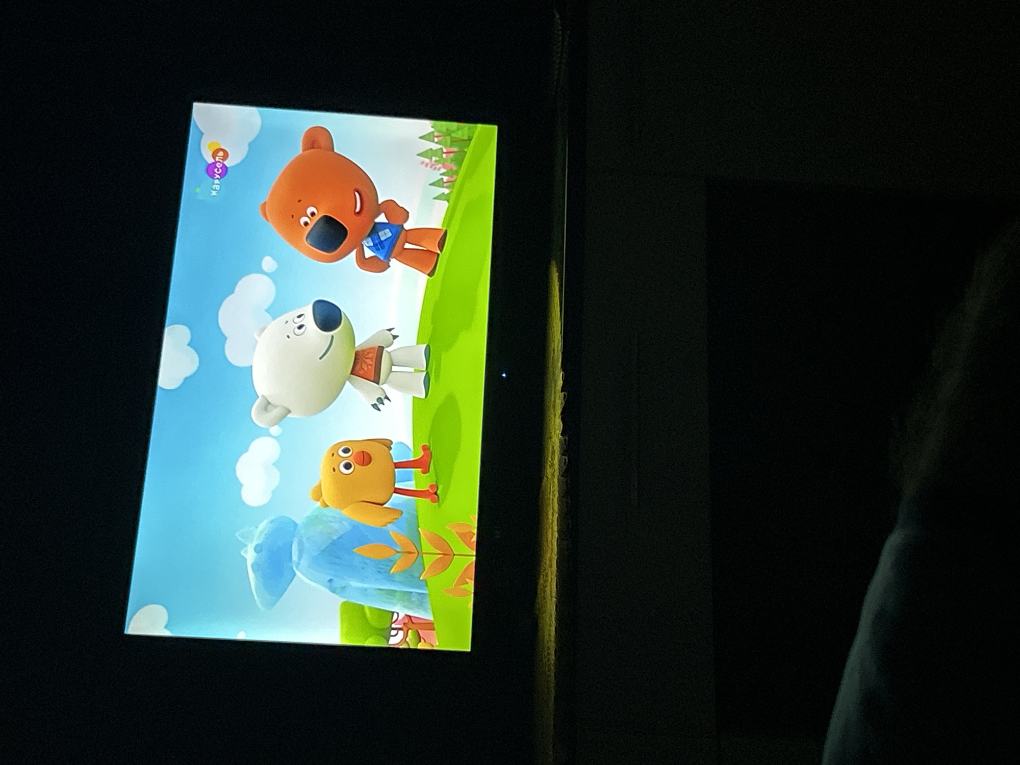 A television screen displays an animated scene featuring three cartoon characters: a small yellow bird with wide eyes and orange legs, a white bear cub with a red and orange checkered shirt, and an orange bear cub wearing a blue checkered vest. The characters are standing on a green grassy hill under a bright blue sky with white clouds. In the background, there is a large, light blue, abstract shape resembling a rock or statue, and several small pink trees. In the top right corner of the screen, a logo with the word "Карусель" in purple and yellow is visible. The television is placed on a dark surface, possibly a piece of furniture, in a dimly lit room. The overall lighting suggests that the image was taken at night or in a dark environment, with the primary light source being the television screen itself. The location is not specified in the image.