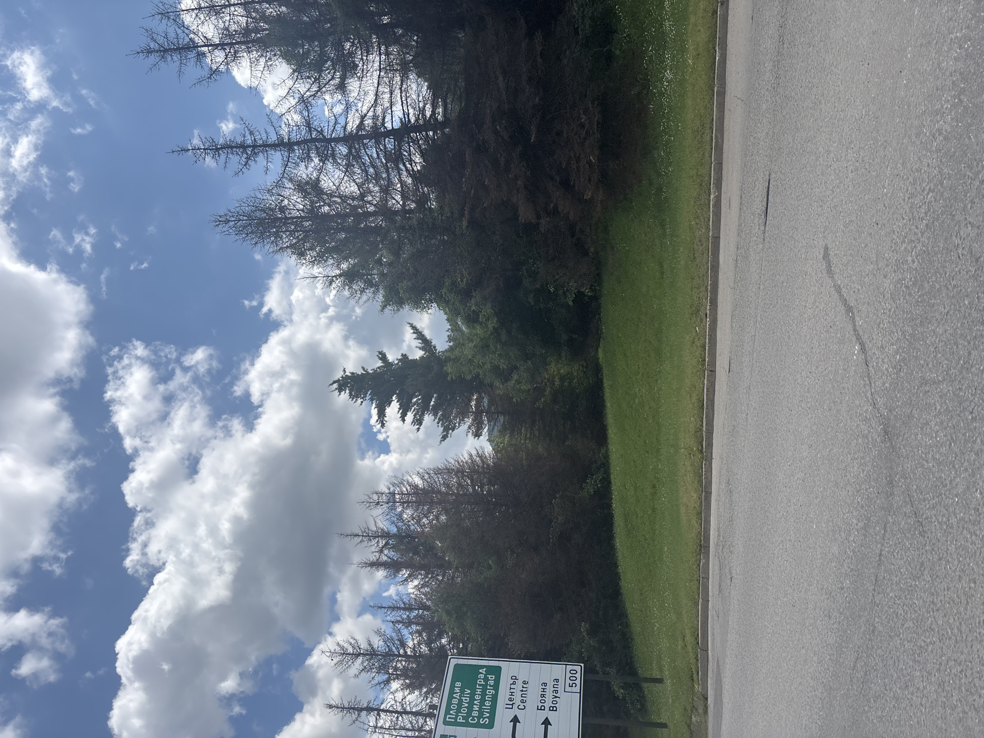 The image depicts an outdoor scene on a partly cloudy day, featuring a section of asphalt road, a grassy incline, and a dense forest. On the left side, a green rectangular road sign, written in both Bulgarian Cyrillic and English, provides directional information. The top section lists "ПЛОВДИВ Plovdiv" and "СВИЛЕНГРАД Svilengrad." The bottom section shows a left arrow pointing to "Център Centre" and a right arrow pointing to "Бояна Boyana," with the number "500" in a white box at the bottom right corner, likely indicating a distance in meters.
The foreground consists of a gray asphalt road surface with some visible cracks and textured areas. A concrete curb separates the road from a grassy slope. This slope, covered in green grass and dotted with small white flowers, ascends towards the treeline. The middle and background are dominated by a dense forest composed primarily of tall coniferous trees. Many of these trees appear stressed or dead, displaying dark, bare branches and skeletal forms, particularly in the upper and more distant sections of the forest. Some areas of healthier, darker green foliage are visible, interspersed among the bare trees. Above the treeline, the sky is blue with numerous scattered white cumulus clouds, indicating partly sunny conditions. There are no individuals, vehicles, or animals visible in the scene.
Based on the road sign, which explicitly mentions "Boyana" and "Centre" (referring to Sofia's city center), the location is identified as being on the outskirts of Sofia, Bulgaria. The presence of a dense forest with numerous dead or dying conifer trees is consistent with the foothills of Vitosha Mountain, which borders the Boyana district of Sofia.