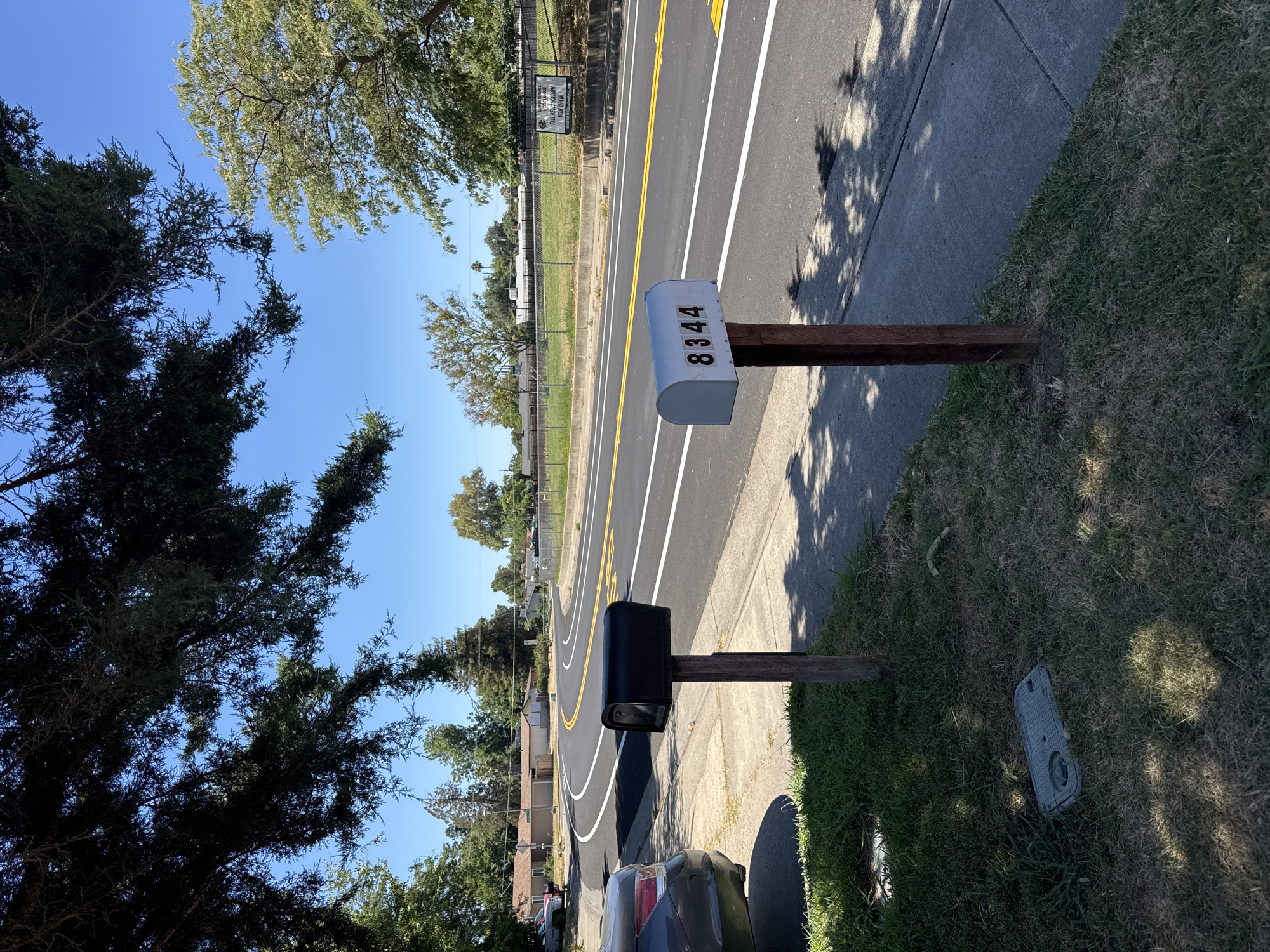 A daytime, eye-level outdoor shot captures a residential street in Citrus Heights, California, USA, under a clear blue sky. A two-lane asphalt road with distinct white and yellow lane markings dominates the scene, curving to the left. In the foreground, two mailboxes stand on wooden posts along a concrete sidewalk. The mailbox on the left is black and features a curved top. The mailbox on the right is silver with the house number "8344" displayed prominently in black. A portion of a dark-colored car is visible on the far left, parked on the street. The grassy area adjacent to the sidewalk shows signs of dry patches and a grey utility box is embedded in the ground. In the background, a chain-link fence separates the road from a grassy verge, beyond which are residential houses with scattered trees and a distant grove of trees. A green sign with white lettering, partially obscured, is attached to the fence. Lush green trees with dark, dense foliage overhang the top of the frame, casting shadows on the scene.