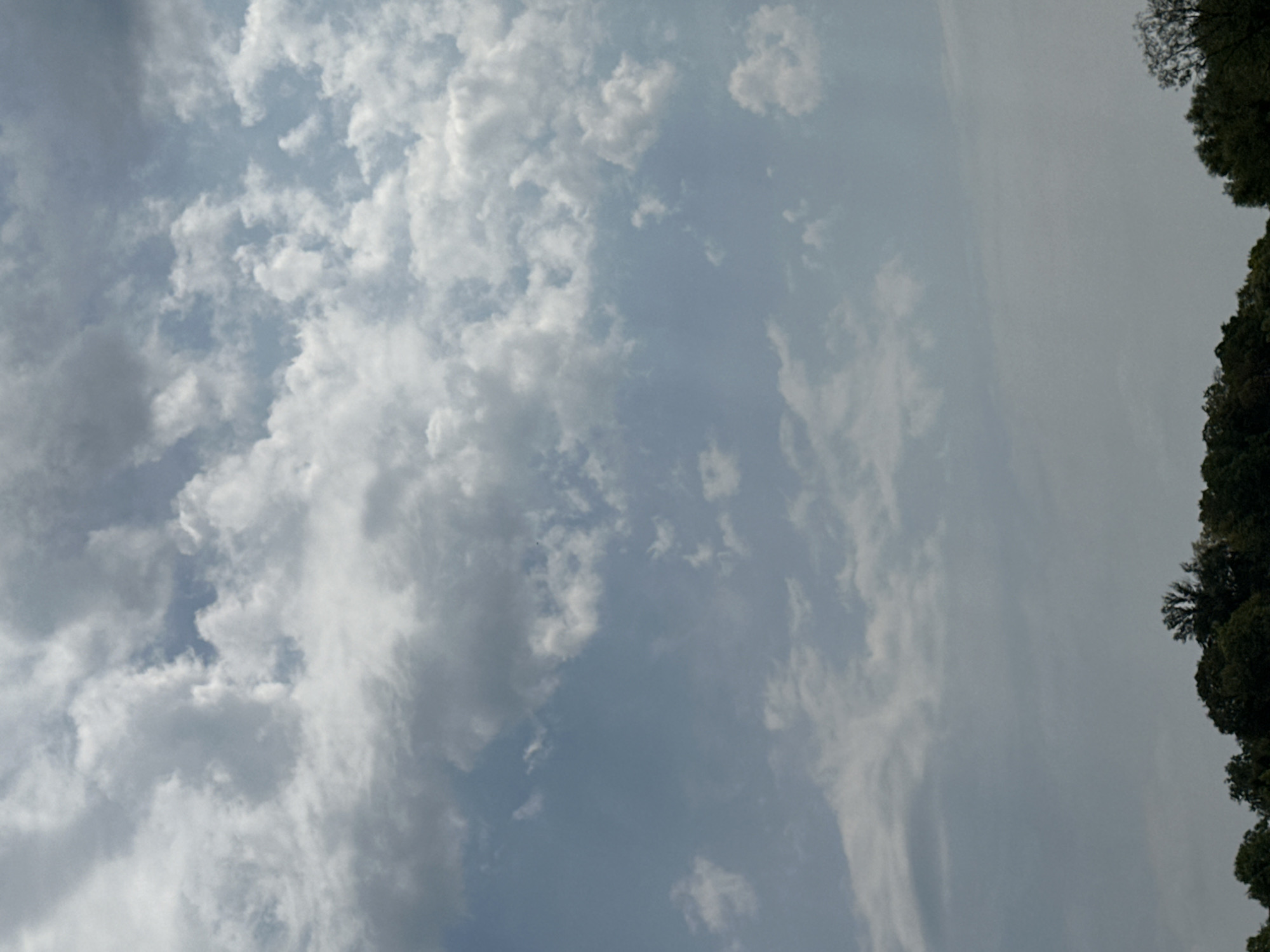 The image shows a cloudy sky above a treeline, with no people or specific landmarks visible. The sky is filled with a variety of clouds, ranging from light and wispy to darker, more dense formations. The treeline at the bottom of the image consists of deciduous trees, appearing dark green against the lighter sky. The overall impression is of a natural landscape under an overcast sky, with no indication of the specific location within Makiv, Ukraine, or any particular activity taking place.