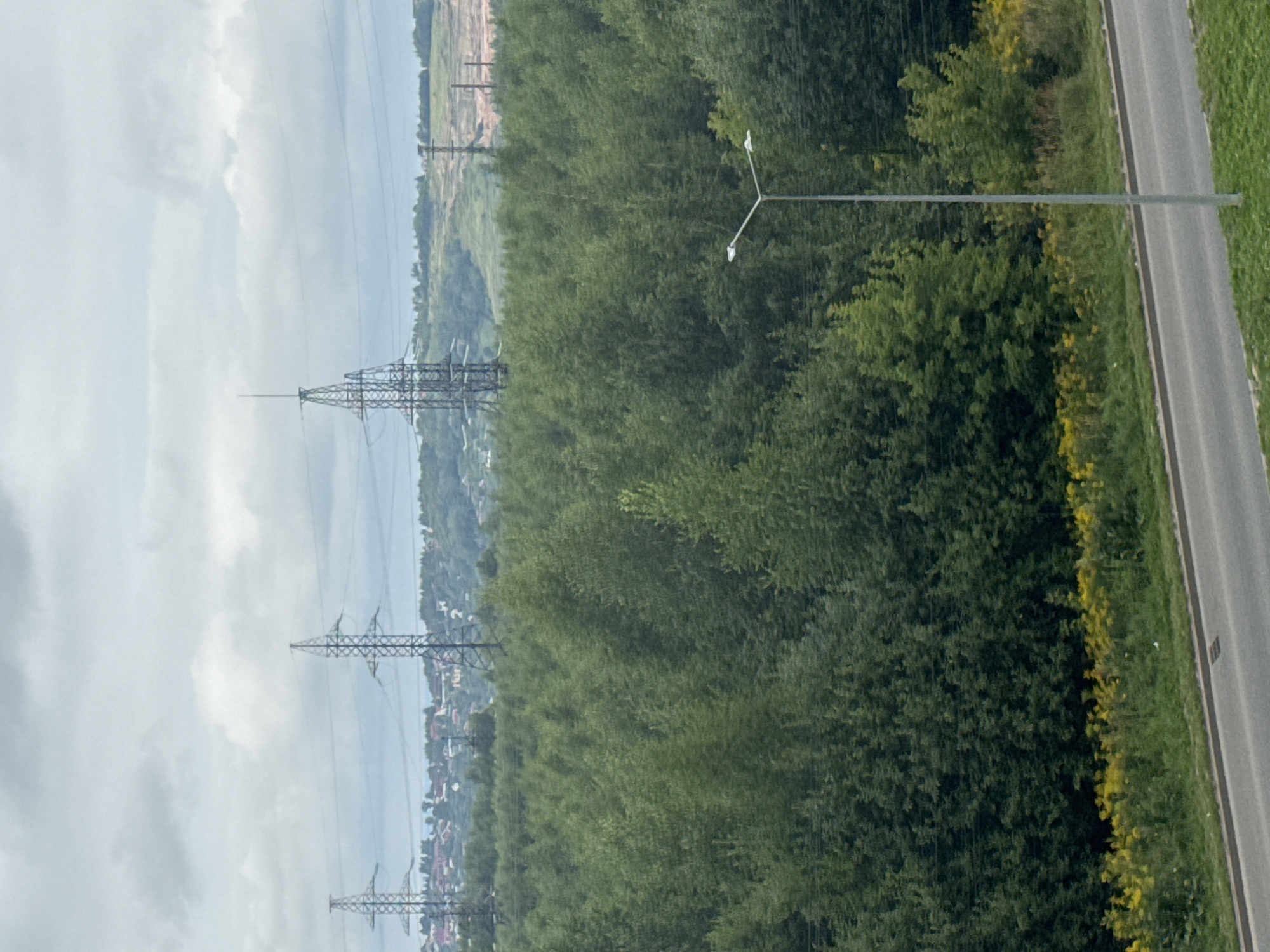 The image displays a landscape scene with a dense forest in the foreground, bordered by a road and grassy verge. Beyond the forest, high-voltage electricity pylons stand against a cloudy sky. In the distance, a settlement with houses is visible on a hill, with more pylons and an open, possibly industrial or construction area further in the background. A street lamp is positioned to the right of the frame, near the road. The overall impression is one of a semi-urban or rural area undergoing development, with infrastructure juxtaposed against natural elements. The specific location is the city of Ankudinovka, Russia.