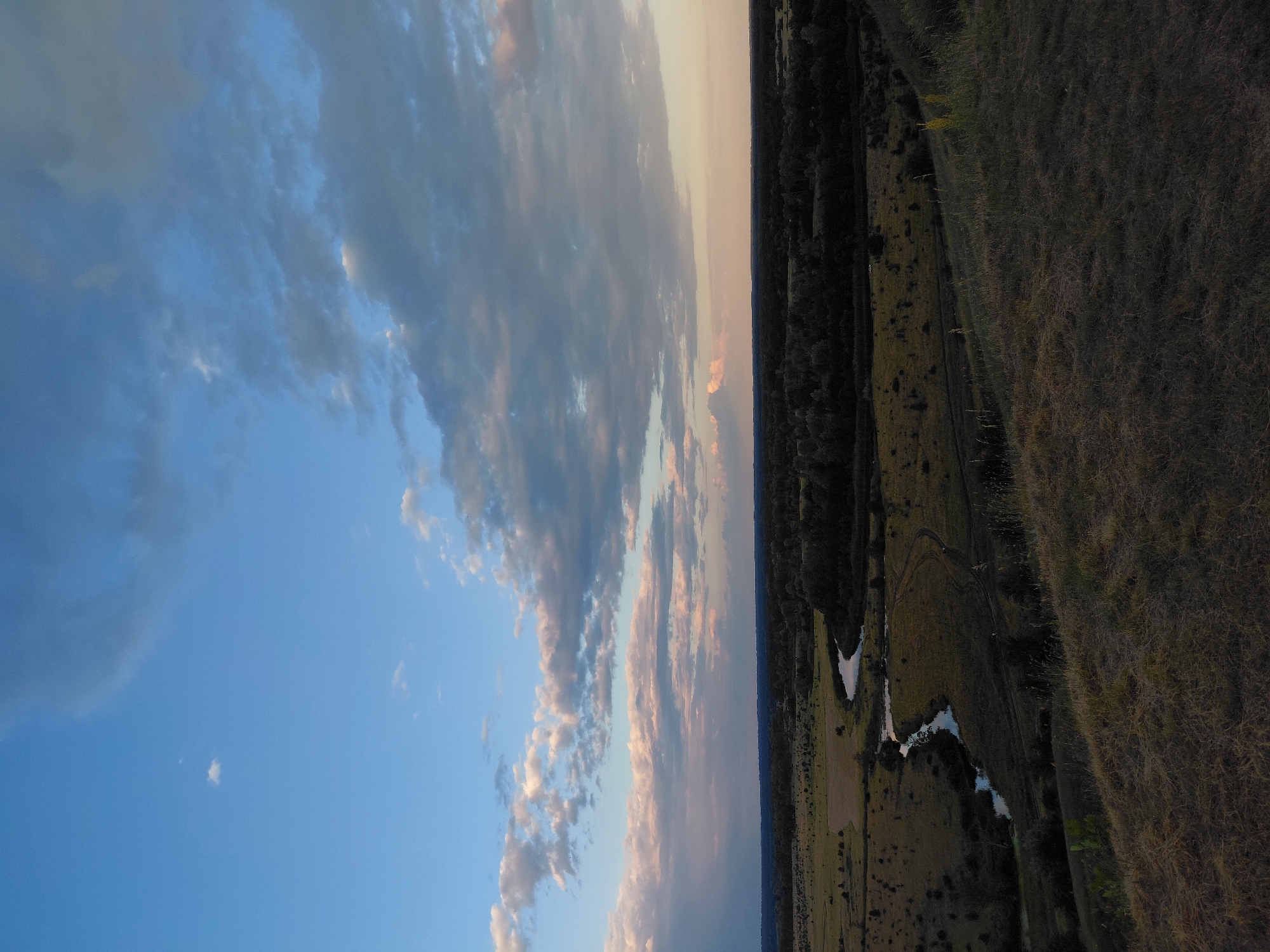 This is a vertical, wide-angle aerial photograph of a rural landscape at sunset. The sky dominates the left side of the image, filled with dramatic clouds in shades of blue, gray, and pink, illuminated by the setting sun. The horizon runs vertically down the center of the image, separating the sky from the land.
The land on the right is a tapestry of greens and browns, with a dark band of trees running along the horizon. A winding stream or river snakes through the landscape, reflecting the sky in its water. Patches of dry, tall grass cover the foreground, indicating a potentially arid or late-season environment. The overall impression is one of vastness and natural beauty, with the soft light of sunset casting a peaceful or perhaps melancholic mood. No people, objects, or text are visible in the image.