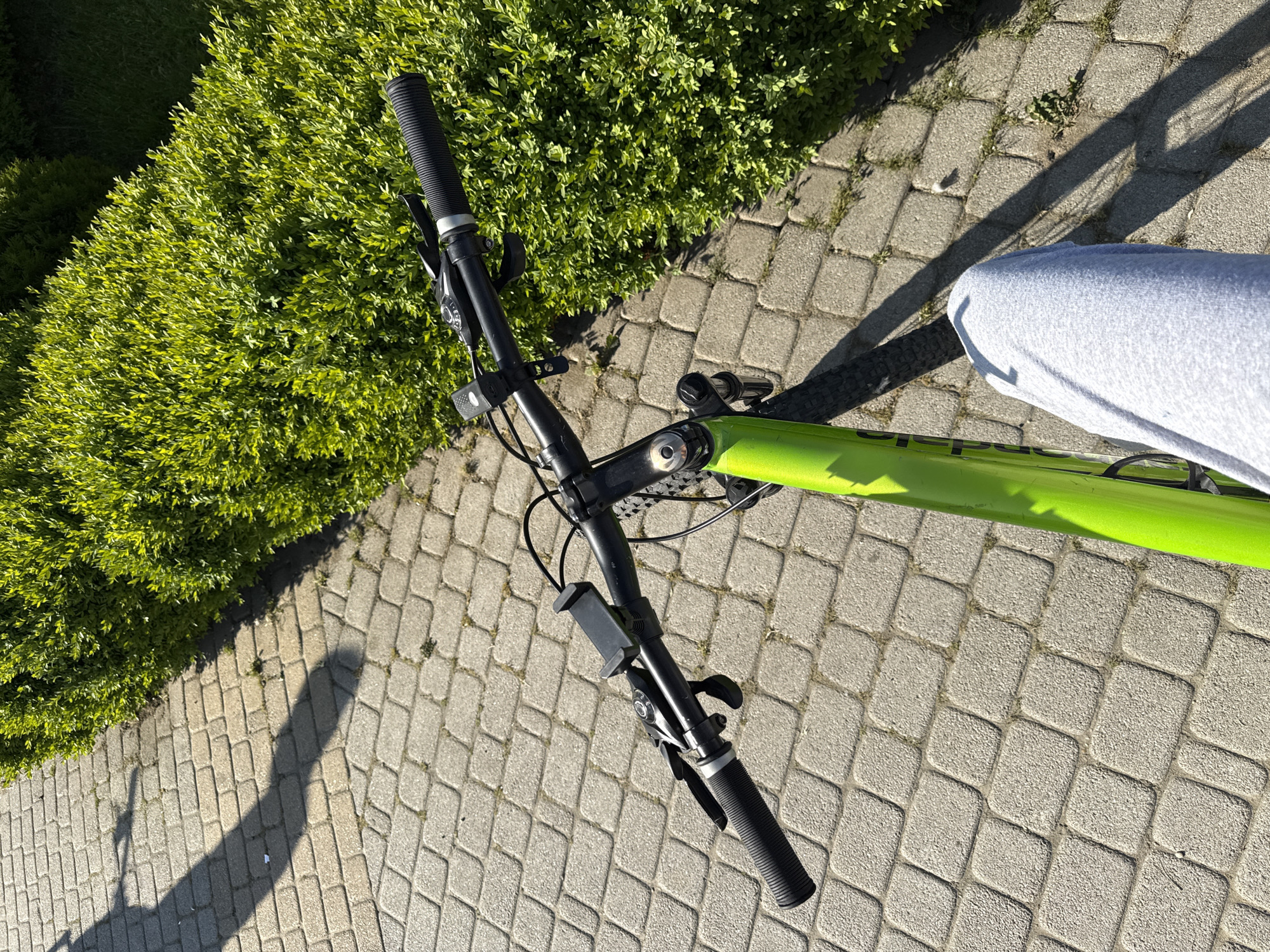 A high-angle shot shows the handlebars and part of the lime green frame of a bicycle, positioned on a paved surface in an outdoor setting. The bicycle is oriented diagonally across the frame, with its handlebars near the upper-left and the frame extending toward the lower-right. The handlebars are black, with black handgrips and visible brake levers. A smartphone mount is attached to the handlebar, positioned near the left handgrip. To the left of the bicycle is a bush with bright green foliage. The paved surface is made of rectangular blocks arranged in a pattern. A shadow cast by an unseen object falls across the paving stones from the lower-left. The lower-right of the frame includes the sleeve of what appears to be a white sweatshirt.