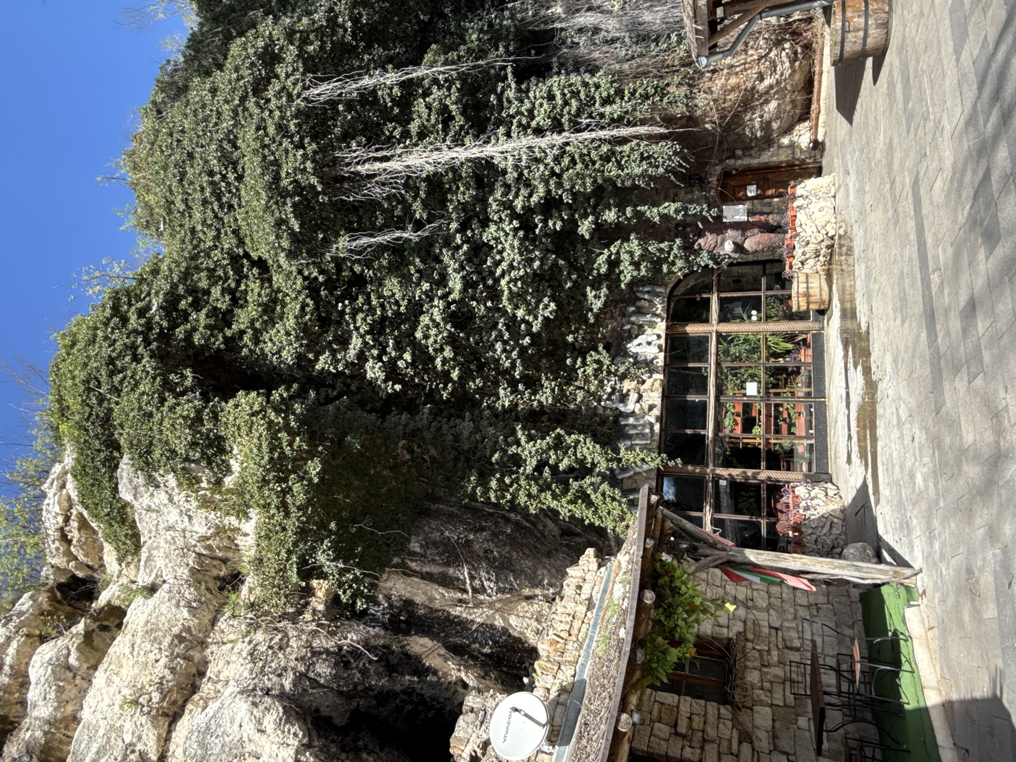 The image depicts a stone building partially obscured by lush green vegetation, possibly ivy, growing on a rocky cliff face. A satellite dish is attached to the lower part of the building. The building has a large glass window with multiple panes and a wooden framed doorway. The exterior design suggests a rustic or traditional aesthetic. The building is located in the Kaylaka park, Pleven, Bulgaria.