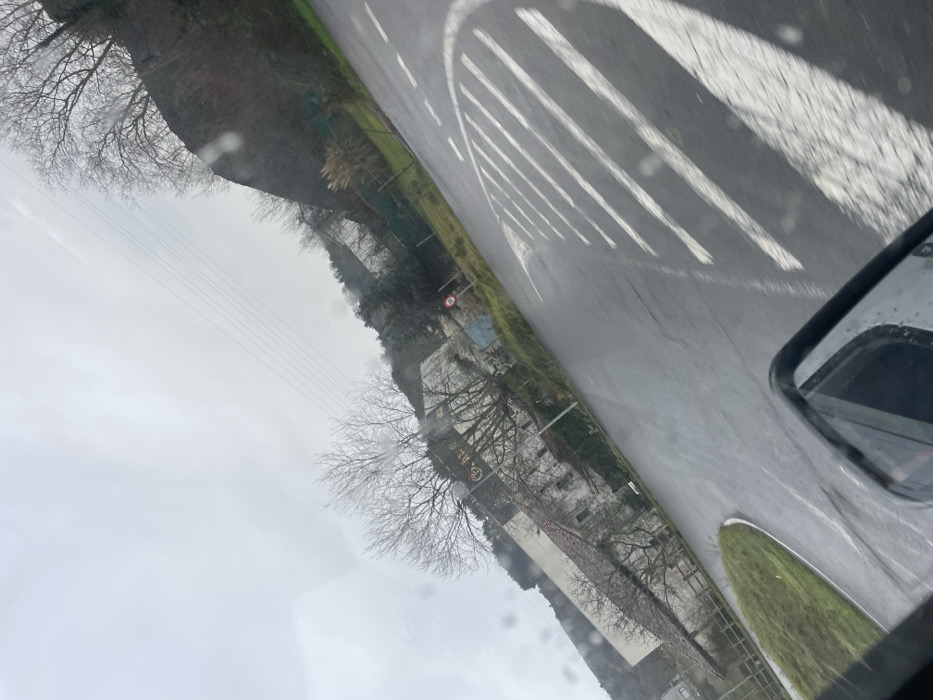 The image displays a tilted, overcast outdoor scene in Zestoa, Spain, viewed from inside a vehicle, with the top portion of its side mirror visible in the bottom right. The foreground features a wet asphalt road, indicating recent precipitation, with white pedestrian crossing stripes extending from the lower right and a small, grassy, curbed median on the lower left. Bare deciduous trees are prominent on the left and mid-ground, partially obscuring a light-colored building with a dark roof. Overhead utility lines stretch across the upper mid-section of the sky. To the right, a steep, vegetated hillside, appearing to include a dark stone structure or natural rock face, borders the road. A circular red and white traffic sign is affixed near the base of the hillside on the right side of the road. No individuals are present.