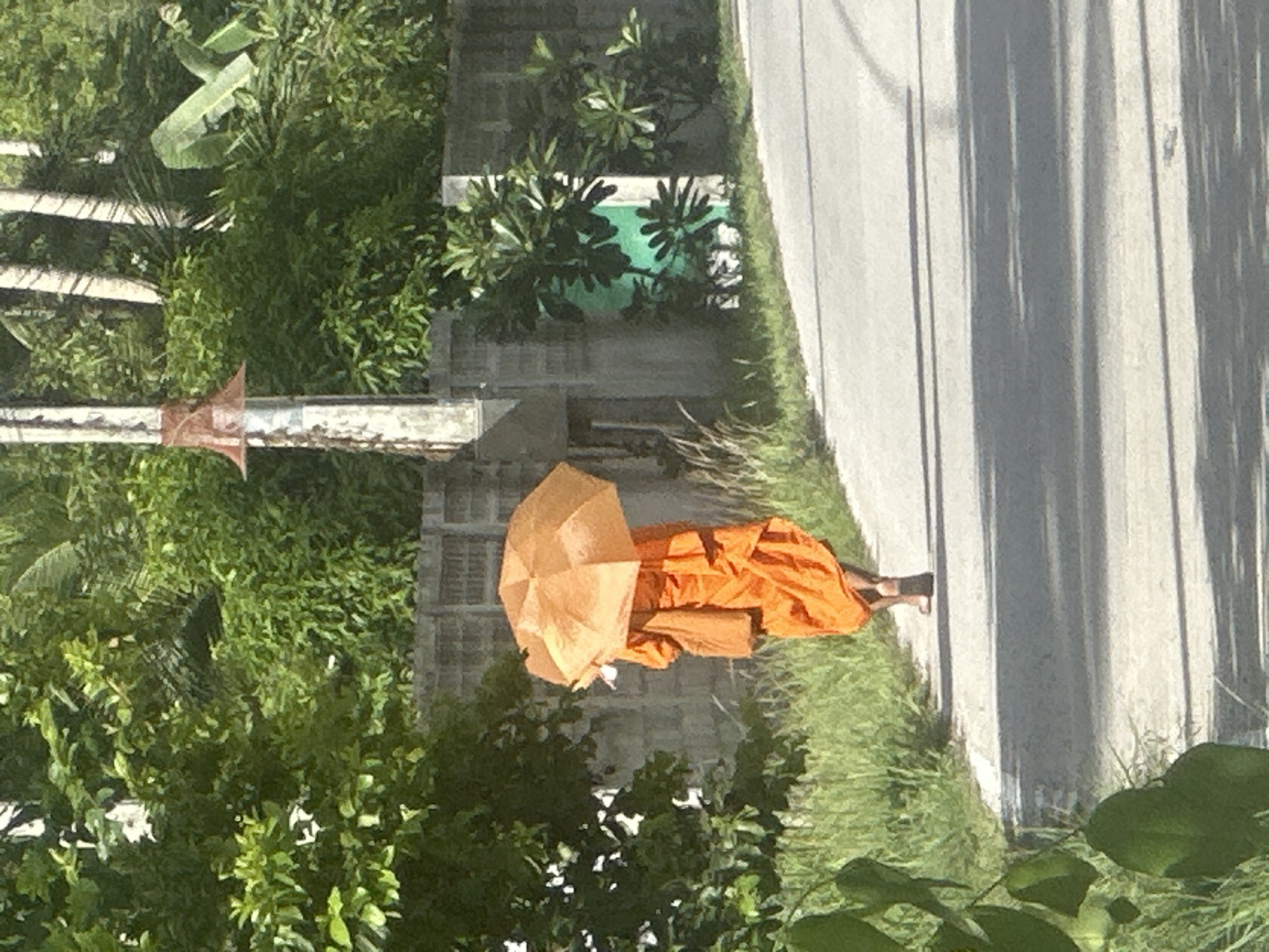 A monk wearing orange robes and carrying a light orange umbrella walks barefoot along the edge of a paved road. Lush green foliage is abundant on either side of the road. A utility pole and various plants are visible in the background. The location is Moo 4, Thailand.