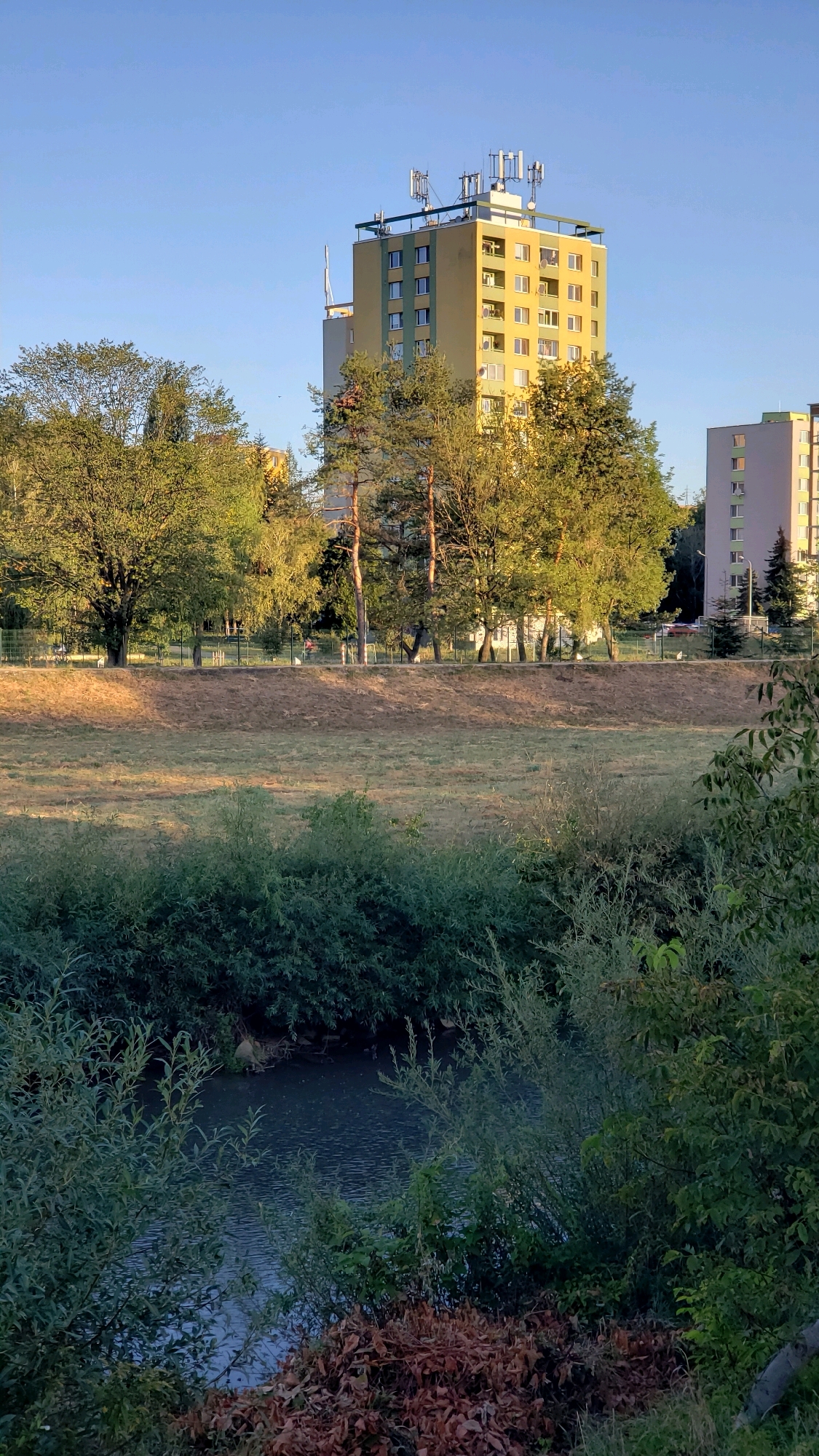 The image depicts a view from a bank of the Torysa River in Prešov, Slovakia. In the foreground, dense green foliage and dry brown leaves line the river's edge. The river itself is a dark, rippling body of water. Beyond the riverbank, a dry, grassy field stretches towards a line of trees. Behind the trees, two residential buildings are visible. The taller building, a yellow structure with green accents, is topped with numerous telecommunication antennas and has multiple floors with visible windows and balconies. A second, shorter pink building with green accents is partially visible to the right. The sky is clear and blue, indicating a sunny day, likely late afternoon or early morning given the lighting. Several indistinct figures are present on a pathway beyond the grassy field, possibly walking or cycling.