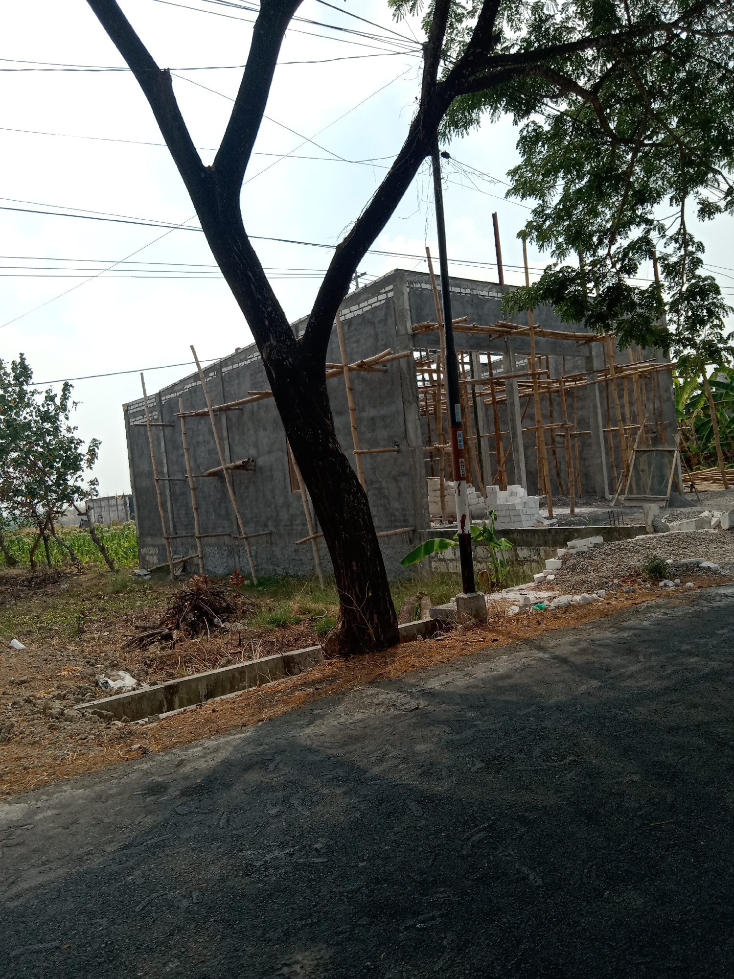 The image depicts the ongoing construction of a building in Glagahan, Indonesia. A partially constructed concrete structure, supported by bamboo scaffolding, dominates the center of the frame. Several trees are visible, with one large tree in the foreground partially obscuring the building. The surrounding environment appears to be a mix of undeveloped land with some vegetation, a paved road in the foreground, and power lines overhead. Construction materials, including bricks and gravel, are scattered around the site. The sky is overcast with a pale, bright hue, suggesting daytime.