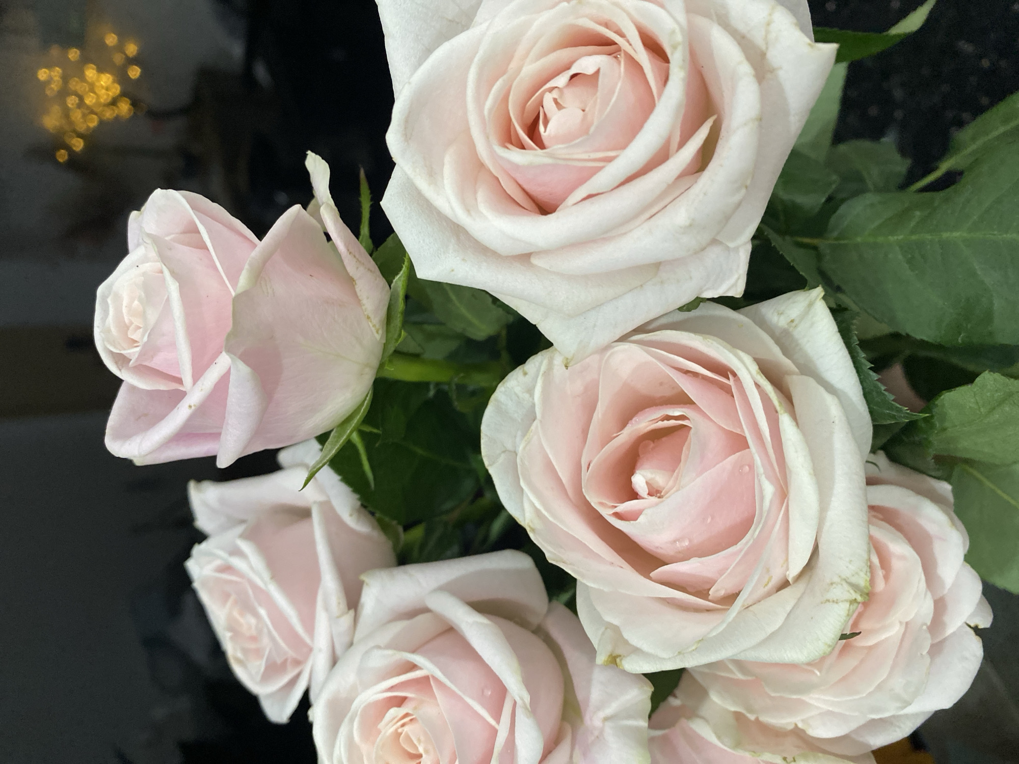 A bouquet of light pink roses is displayed against a dark, out-of-focus background. Some of the roses have small water droplets on their petals. The lighting is soft, highlighting the delicate texture of the rose petals. In the upper right corner, there is a blurred out-of-focus yellow bokeh effect, possibly from decorative lights. The scene is a close-up shot, emphasizing the beauty and detail of the flowers. There is no visible indication of the location in Đà Nẵng, Vietnam.