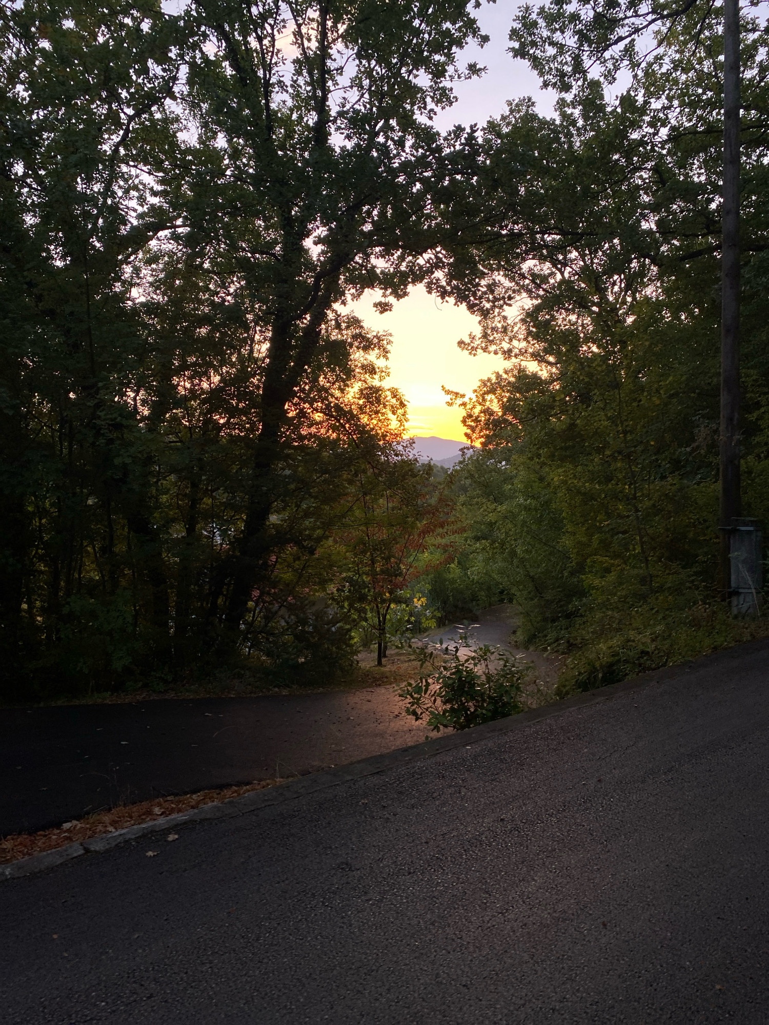 A vertical, eye-level, outdoor shot captures a winding path through trees during dusk. The foreground is dominated by an asphalt road, with a smaller portion of a paved path visible to the left and right. The road curves from the bottom right of the frame and continues into the scene, with fallen leaves scattered along its edge. The path, in the mid-ground, appears to be a dirt or gravel surface and also winds through the trees.
The path leads towards a clearing in the dense foliage, revealing a sunset with vibrant orange and yellow hues. The sun is partially obscured by distant, hazy mountains. The trees, mostly deciduous, are full of dark green leaves, silhouetted against the colorful sky. Some trees closer to the path show hints of red and yellow leaves, suggesting the onset of autumn.
To the right of the path, a tall, wooden utility pole stands, with a small electrical box attached to its base. The overall atmosphere is peaceful and serene, illuminated by the soft, fading light of the setting sun. The scene is devoid of any people or animals. The location is described as Unknown, Unknown.