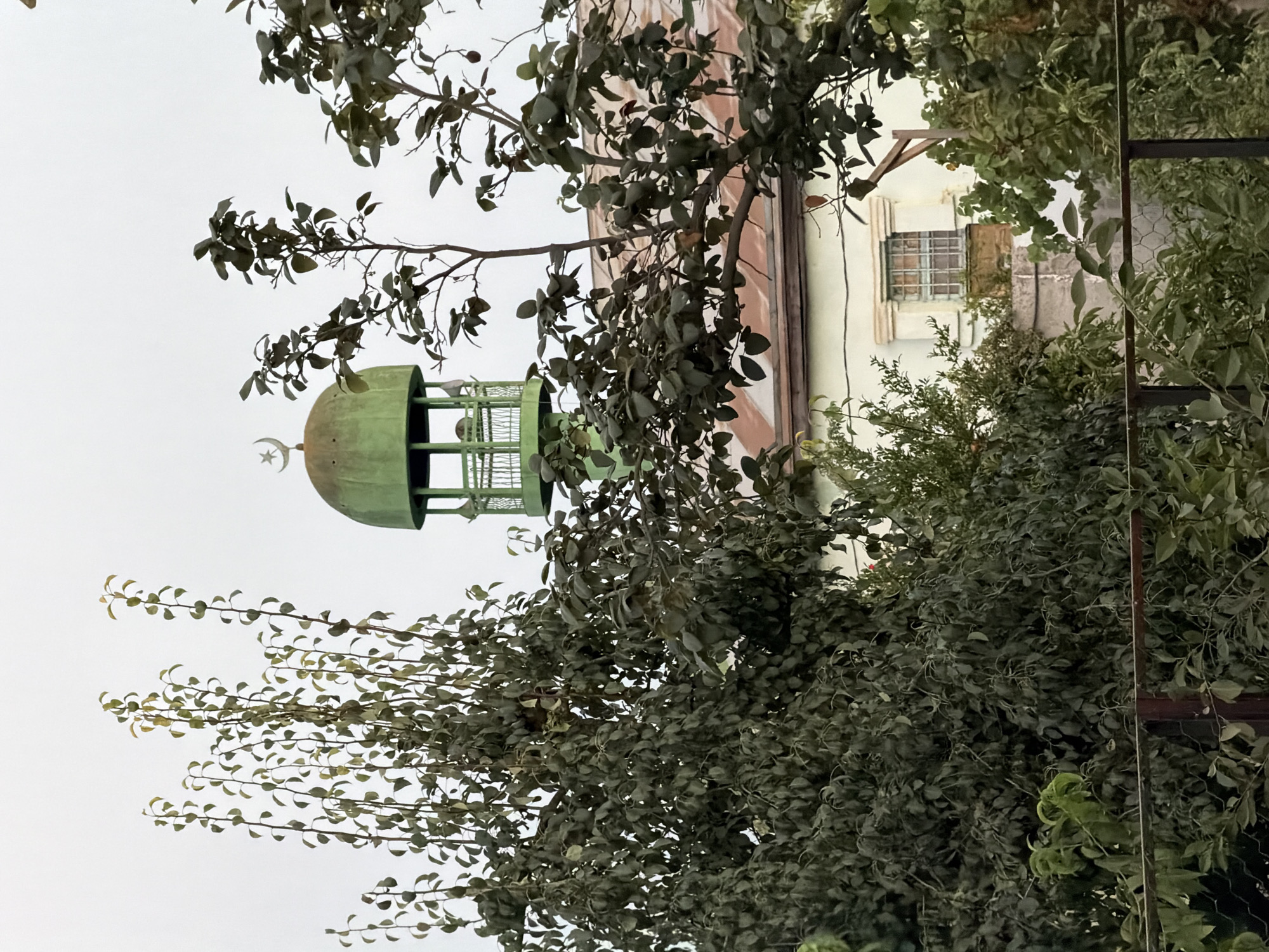 A green, domed minaret with a crescent moon finial rises above trees and a building in Sabirabad, Azerbaijan. The minaret, a slender tower, is painted green and features decorative latticework balconies. It is topped with a distinctive green dome and a crescent moon symbol. In the foreground, leafy trees with dark green foliage partially obscure the view. Behind the trees, a light-colored building with a rusty-brown roof is visible. A window with a grid pattern is set into the building's facade. The sky is overcast and pale.