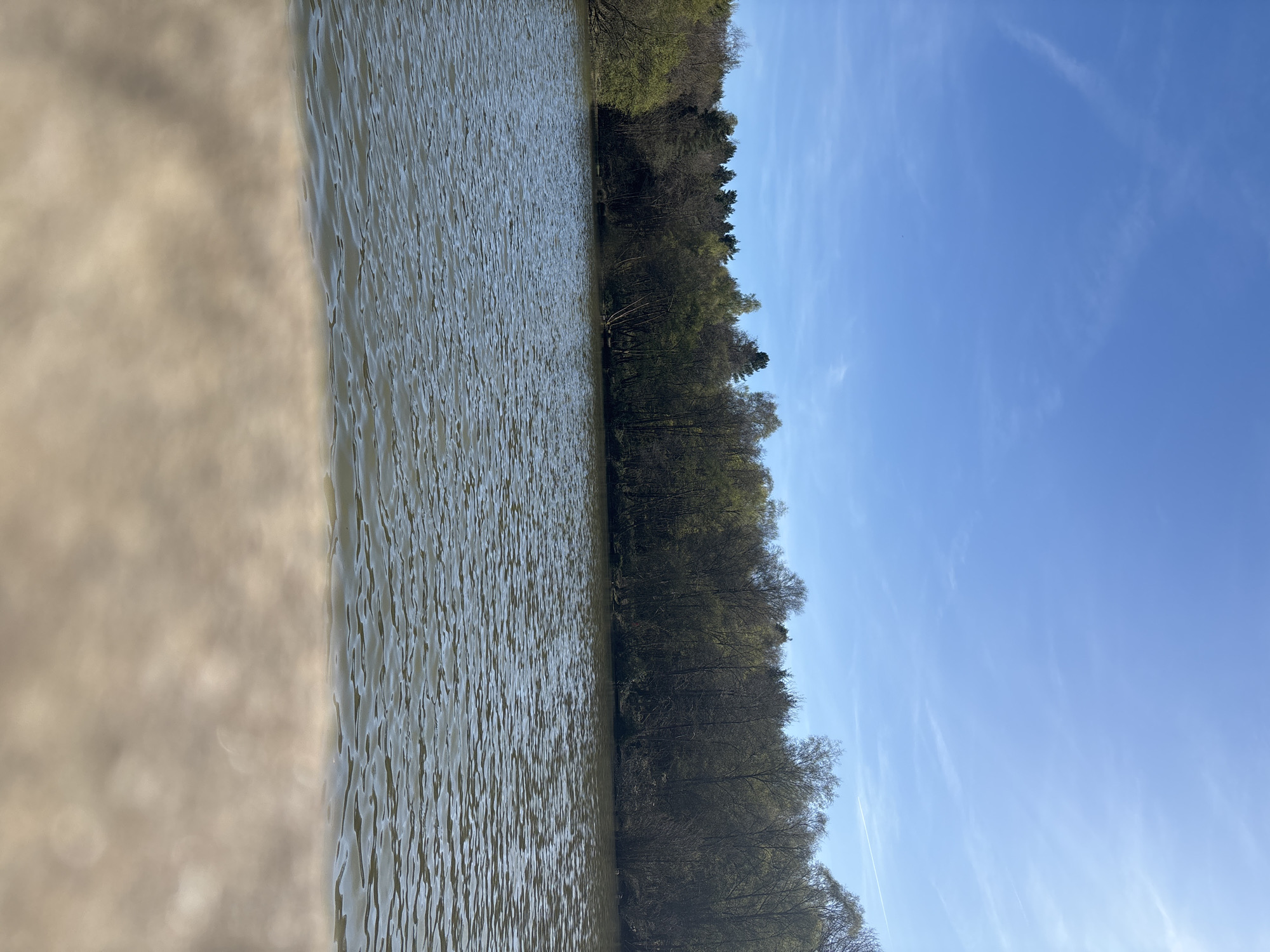A landscape photograph shows a body of water bordered by a forest and a clear blue sky. The body of water appears calm with gentle ripples. The forest along the edge of the water is dense with trees. The sky is mostly clear. The left edge of the image shows a light-colored surface, likely a man-made structure. This image is likely located in Tilgate Park, in Crawley, United Kingdom, as it contains a large lake surrounded by dense woodland.