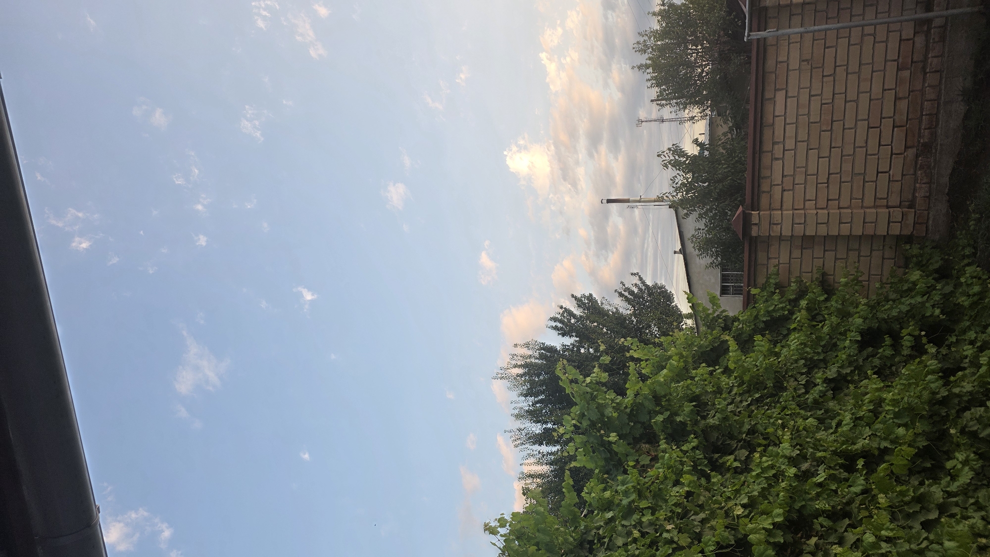 This image depicts a view of a sky with scattered clouds and a distant industrial chimney, framed by lush green foliage in the foreground and a brick fence. A dark, horizontal gutter-like structure is visible at the very top of the image. The environment suggests a semi-rural or industrial area within the city of Chuy, Kyrgyzstan. The sky is a pale blue with wispy white and pinkish clouds, indicating either early morning or late afternoon light. Below the sky, a row of trees partially obscures buildings, and a prominent brick fence runs horizontally across the mid-ground. A tall, slender chimney with a red and white top stands out against the sky behind the trees. Several communication towers are also visible in the distance. The foreground is dominated by dense green leaves, likely from a vine or tree, that hang over the fence. No people are present in the scene.
