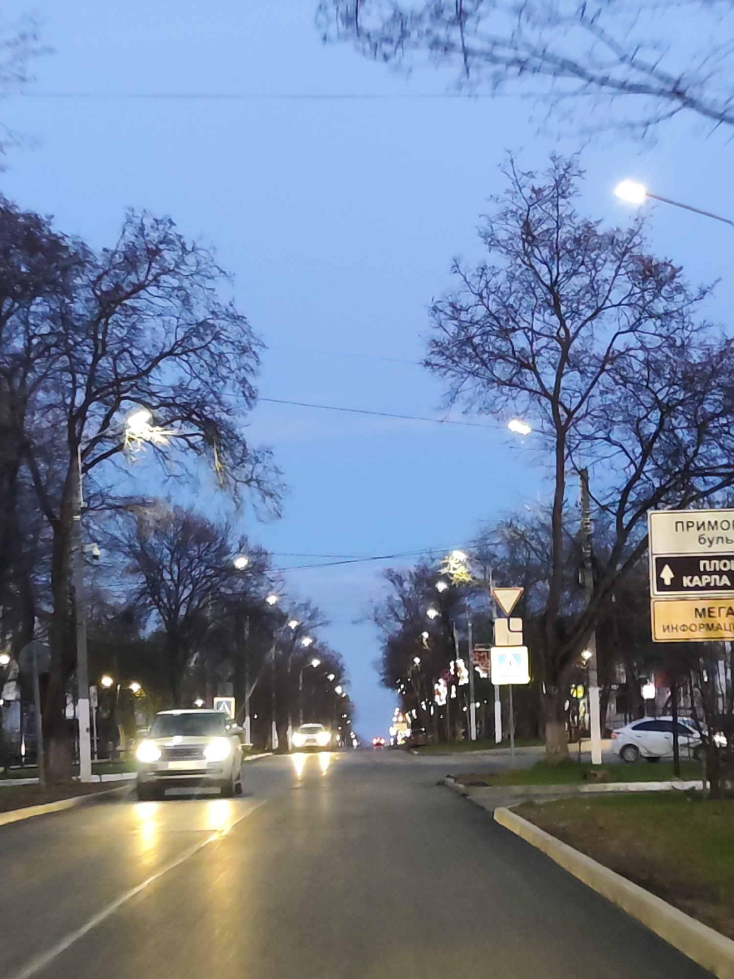 The image captures a street scene at dusk or early evening, likely in Chaikovsky, Russia, given the contextual information and visible Cyrillic text. The sky is a deep twilight blue, contrasting with the warm glow of numerous streetlights lining both sides of the road. Deciduous trees, bare of leaves, flank the street, their intricate branches silhouetted against the sky.
In the foreground, a silver SUV with bright headlights is driving towards the viewer, its light reflecting prominently on the road surface. Another car with illuminated headlights is visible further down the road, receding into the distance. A white car is parked on the grassy verge to the right. The road itself is asphalt, featuring a white center line.
On the right side of the road, a large white directional sign with text in Cyrillic is visible. It reads:
- "ПРИМОРСКИЙ БУЛЬВАР" (Primorsky Boulevard)
- An arrow pointing left, then "ПЛОЩАДЬ КАРЛА МАРКСА" (Karl Marx Square)
- "МЕГА ИНФОРМАЦИЯ" (Mega Information)
Below this sign, there is a smaller white sign that appears to indicate a pedestrian crossing or intersection ahead. Further along the right, another road sign, possibly a yield sign, is partially visible behind the trees. The overall scene depicts a calm urban environment with active traffic and artificial lighting illuminating the path.