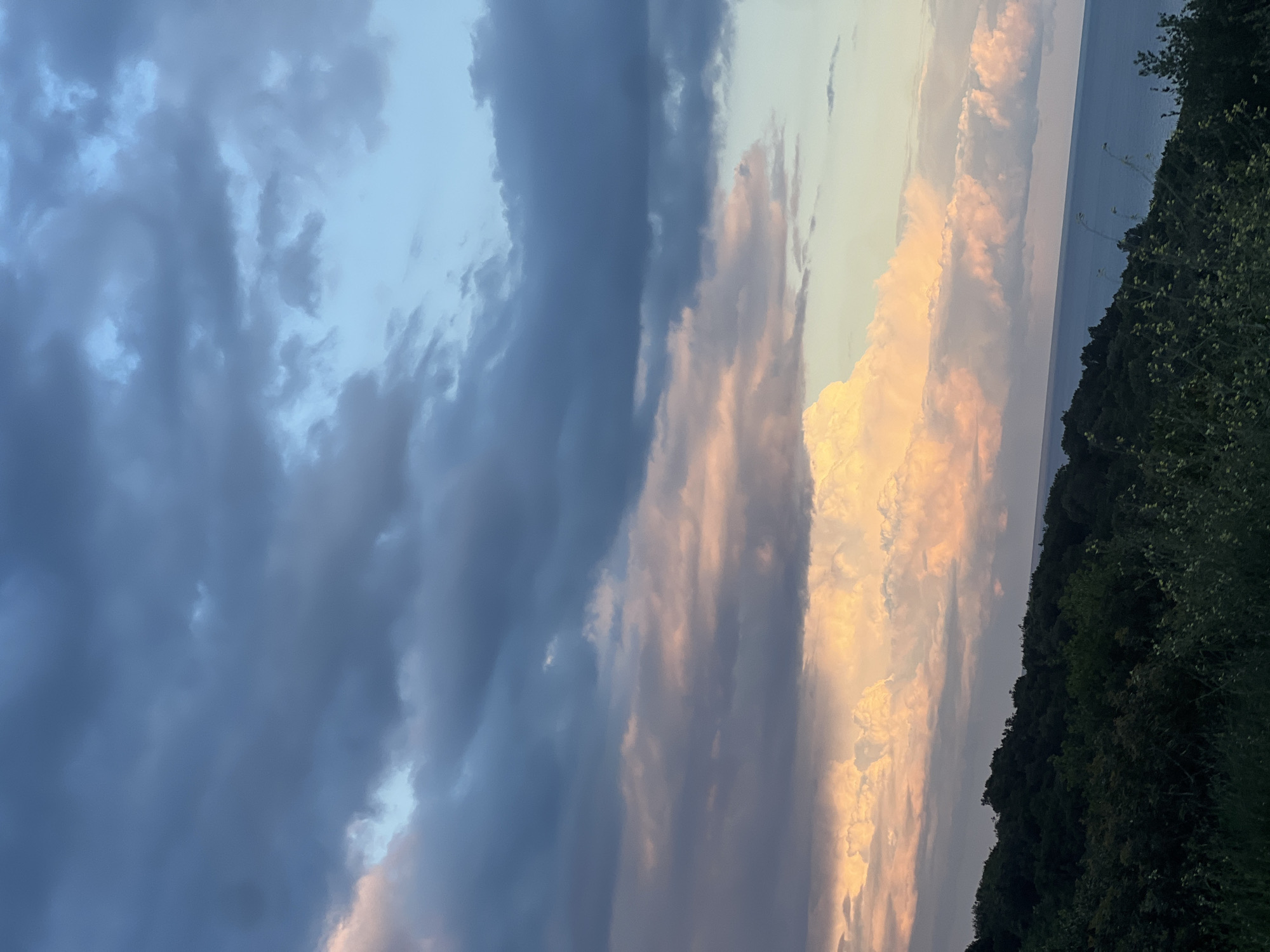 The image displays a serene landscape scene, likely captured during either sunrise or sunset, emphasizing a dramatic sky over a body of water and distant land. The sky occupies the majority of the frame, featuring a striking contrast in cloud formations. On the left, dense, dark blue-grey clouds dominate, creating a sense of impending weather or deep shadow. Moving towards the right and center, these clouds are illuminated by the low sun, bursting into vibrant hues of golden yellow, soft orange, and delicate pink, indicating direct sunlight catching their edges.
Below the expansive sky, a calm, horizontal strip of water, possibly a large lake or the sea, stretches across the mid-ground. Its surface appears smooth and reflects the muted light from the sky, taking on a subtle blue-grey tone. Along the bottom right of the frame, a dense, dark green line of trees and foliage marks what appears to be a distant shoreline or landmass. These trees are largely silhouetted against the brighter sky, further suggesting the time of day.
There are no people, objects, or visible text in the image. The scene captures a tranquil, natural environment, characterized by the interplay of light and shadow across the sky, water, and land. The location context of Visnjeva, Montenegro, suggests this could be a view overlooking a natural body of water in that region, possibly the Adriatic Sea or a large lake, with its characteristic rugged coastline and dense vegetation. The overall mood is one of natural beauty and peaceful contemplation.