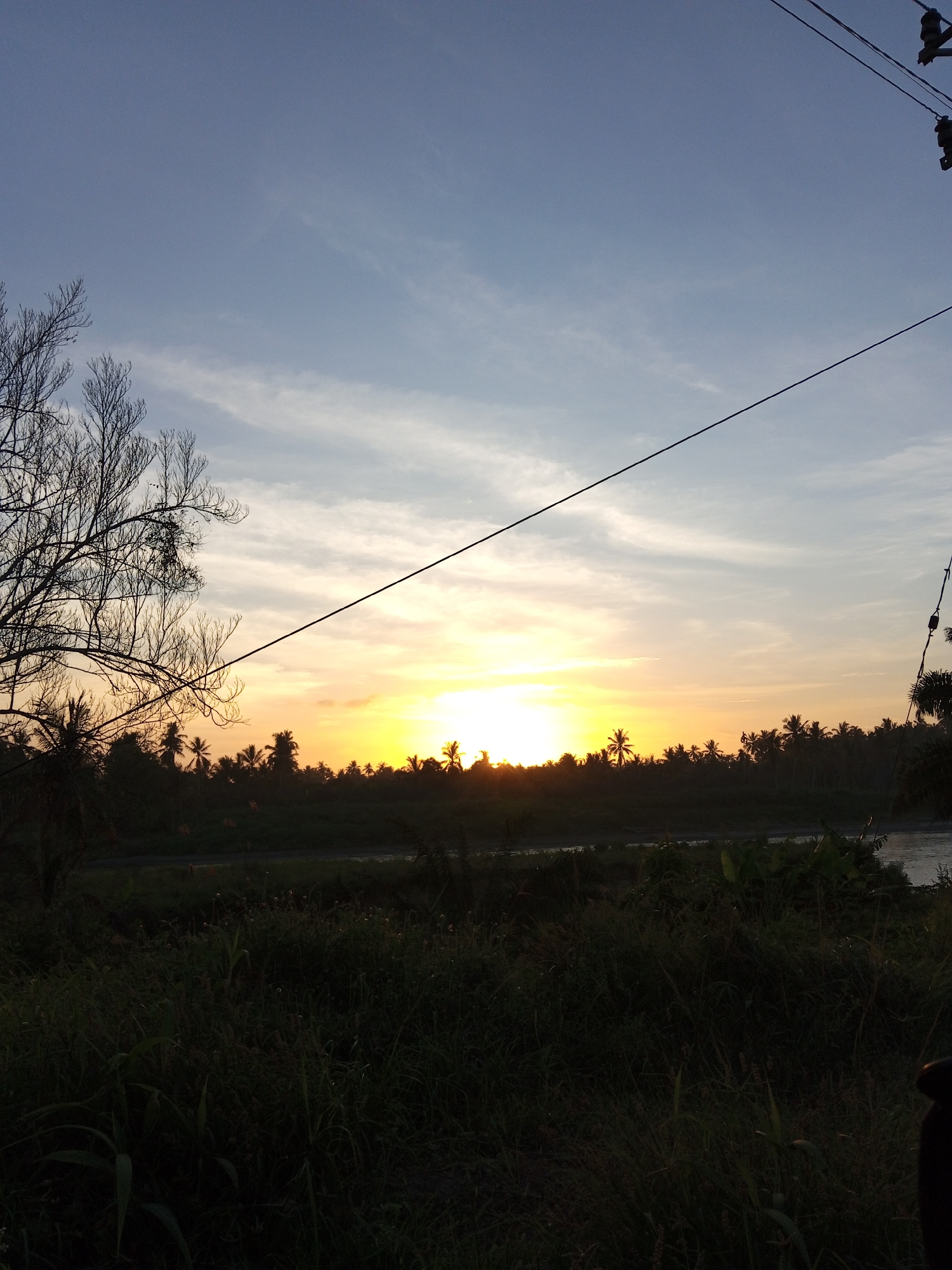 The image depicts a sunrise in Blang Mee, Indonesia. A line of palm trees silhouettes against the bright sun and light orange sky on the horizon. A body of water and a road is visible in front of the trees. The foreground shows dark green vegetation. On the left side of the image, a bare tree is visible. A power line stretches across the upper half of the image, and a power pole appears in the top right corner. The sky is a gradient of light blue and white.
