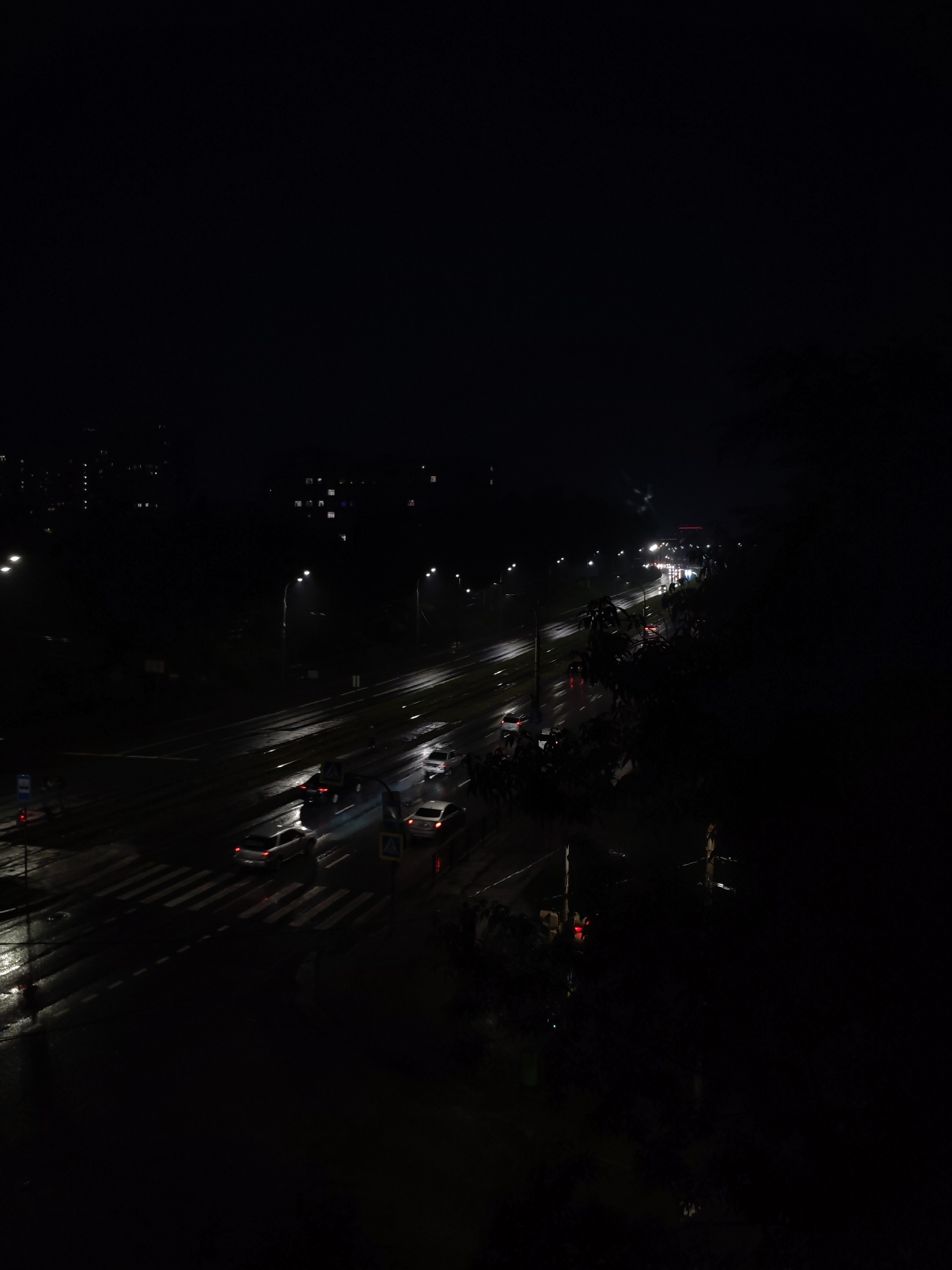 The image depicts a night scene in Izhevsk, Russia, featuring a multi-lane road with visible crosswalks illuminated by streetlights. Cars are driving on the road, and reflections indicate wet conditions, likely due to rain. Buildings with lit windows are visible in the distance on the left side. On the right side, foliage is present, partially obscuring the view further down the road. A traffic light can be seen towards the right center of the image. The overall environment is dark, with light sources concentrated along the road and from the buildings.