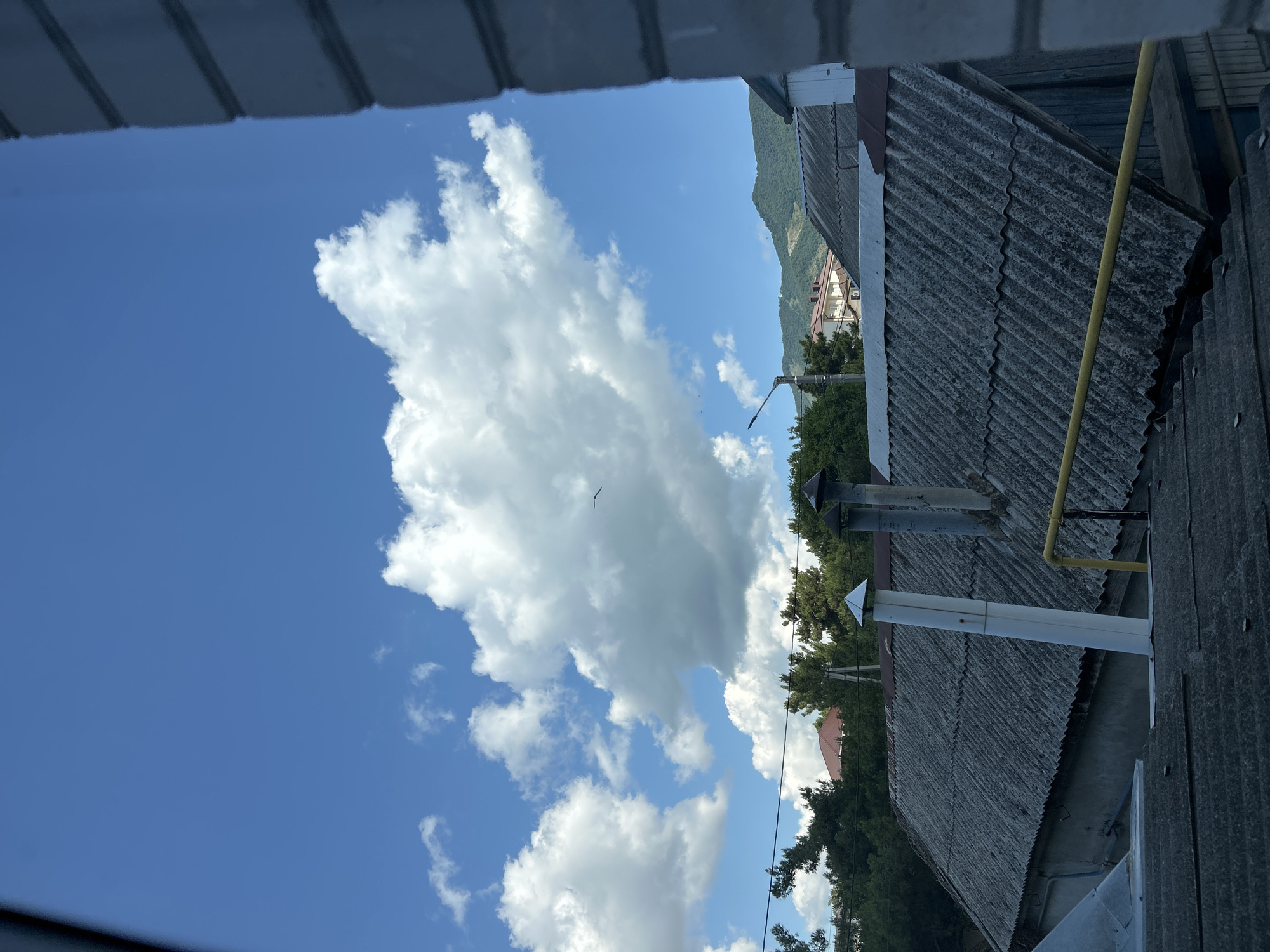 The image depicts a view of rooftops and a bright blue sky with scattered white clouds. A bird is visible in flight in the upper central portion of the frame. In the mid-ground, there are trees and buildings, with hills in the background. The foreground shows corrugated rooftops and chimney pipes. This scene is characteristic of a residential area in Gelendzhik, Russia, a coastal city known for its mountainous terrain meeting the Black Sea. The architecture suggests a somewhat older or less developed part of the city.