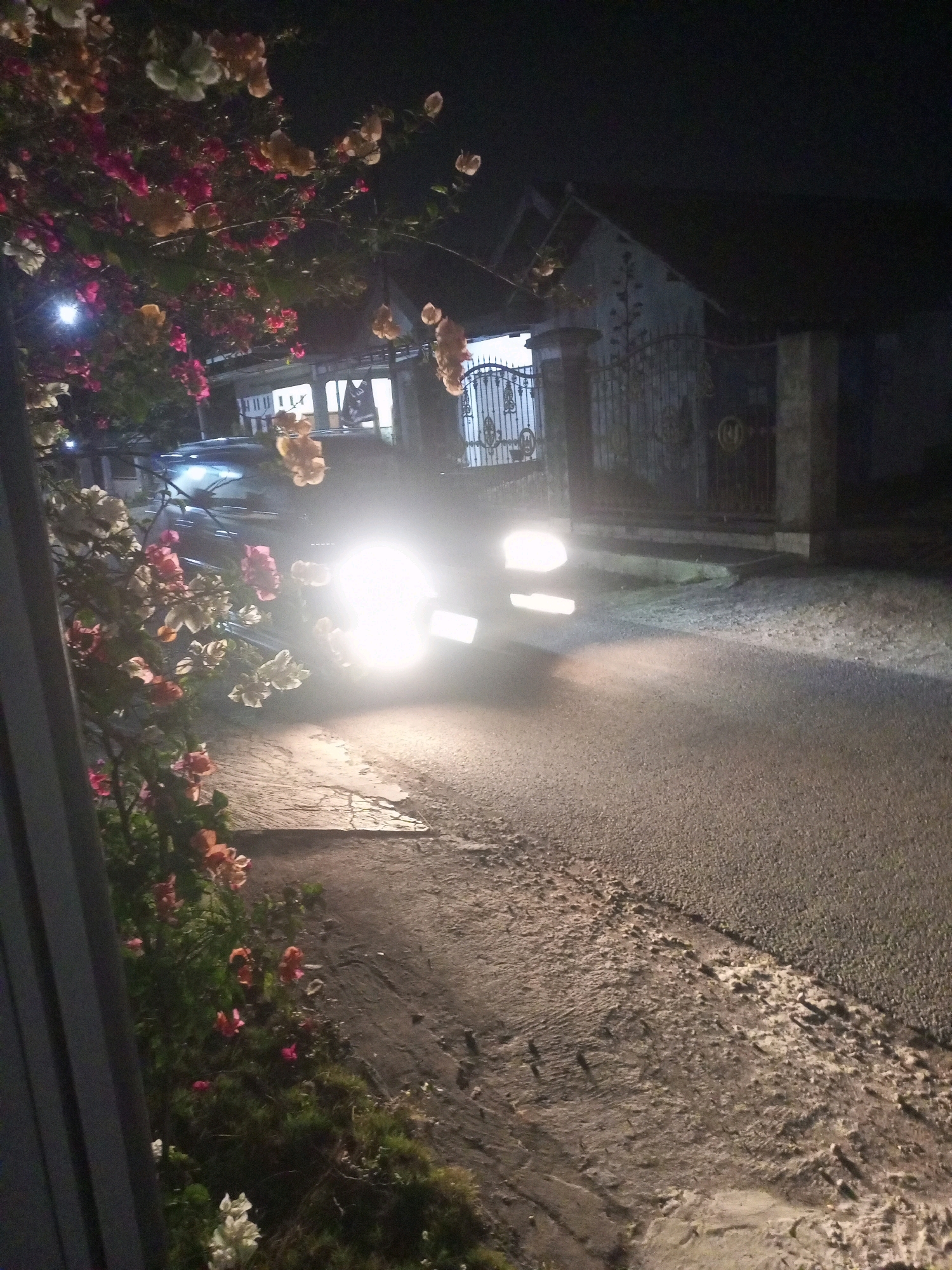At night, a white sedan is parked on a paved road in front of a house in Ngasem, Indonesia. The car's headlights are on, illuminating the road and the surrounding area. The house has a traditional Indonesian architectural style, with a dark tiled roof and white walls. A metal fence surrounds the property. In the foreground, there is a lush garden with blooming flowers in various colors, including pink, white, and orange. The overall scene depicts a peaceful residential setting at night, with the car's headlights adding a dramatic touch to the composition.