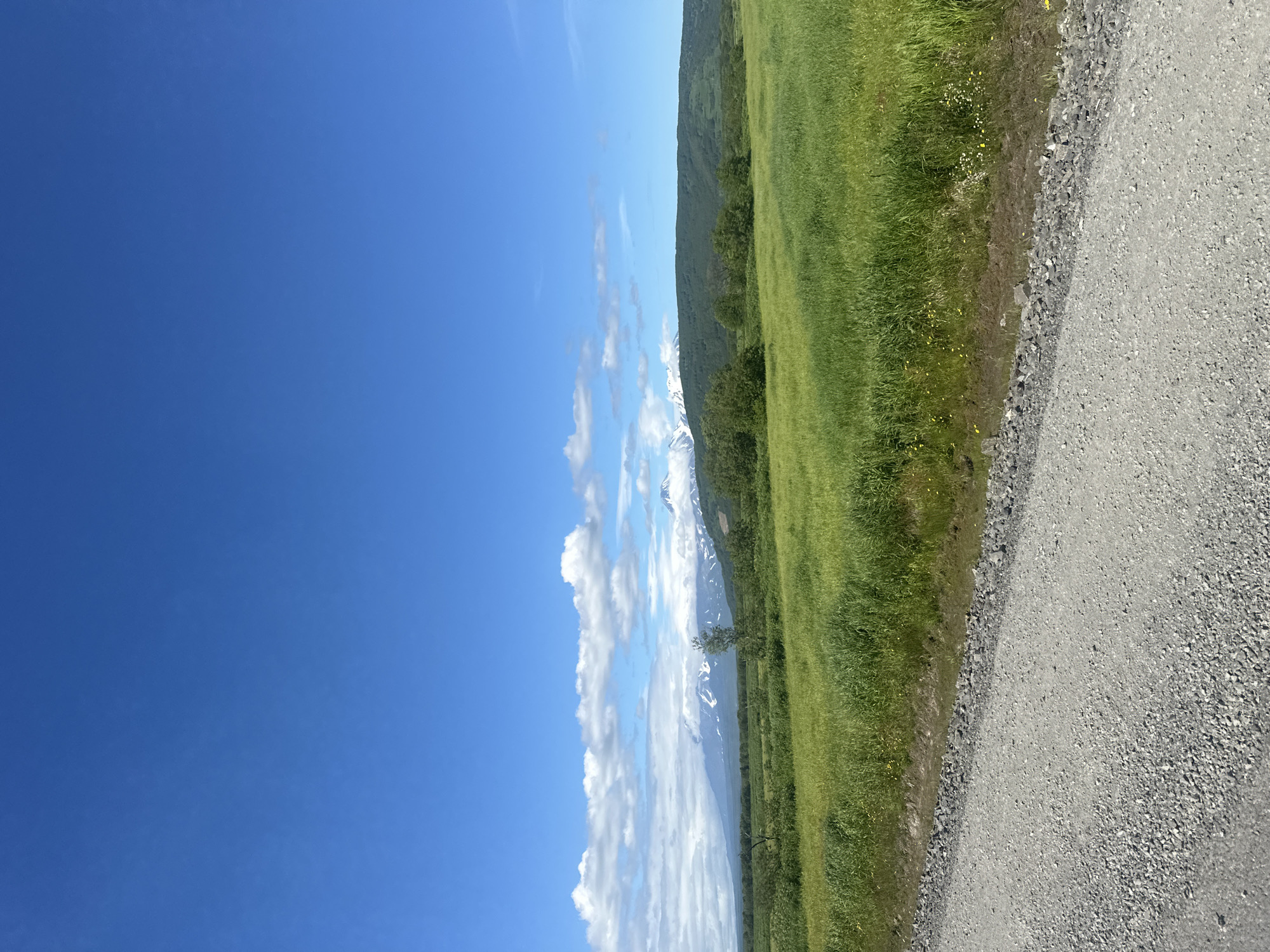 This is a photograph taken from a gravel road in Petropavlovsk-Kamchatsky, Russia, looking out at a vast, green meadow under a bright blue sky with scattered white clouds. In the distance, a mountain range is visible, with the peaks of several volcanoes capped with snow. The foreground is dominated by the rough texture of the gravel road, which slopes slightly upwards and to the right. Beyond the road, the meadow is lush and tall, dotted with small yellow and white wildflowers. A line of trees and shrubs separates the meadow from the distant mountains. The overall scene depicts a natural, undeveloped landscape.