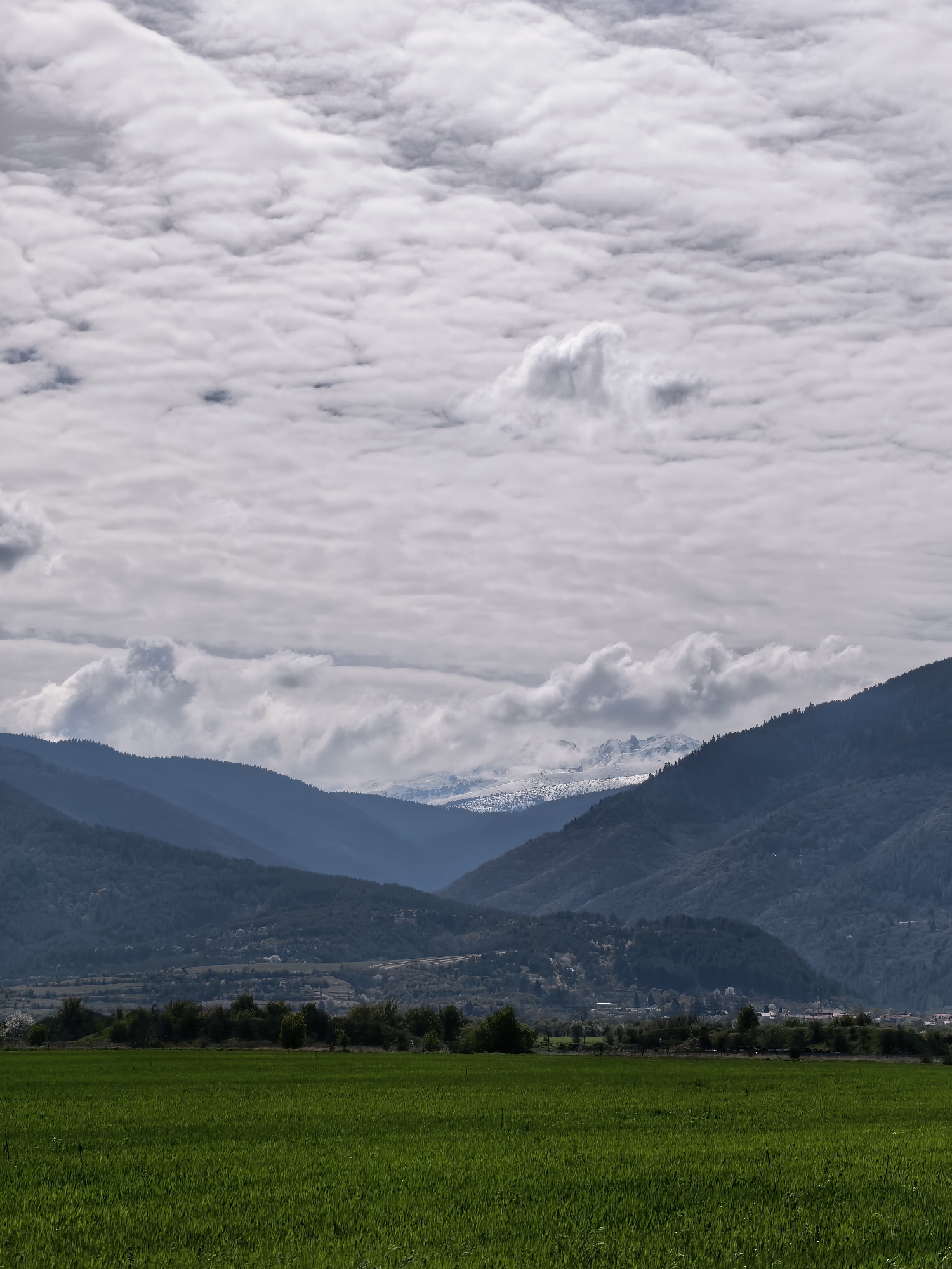 This landscape photograph presents a layered view of mountains, a valley, and a foreground field under an overcast sky.
In the immediate foreground, a lush, vibrant green field, likely cultivated grass or crops, fills the lower section of the image. The field shows texture from individual plants. Beyond this, a darker band of trees or dense vegetation forms a natural boundary, with hints of a small settlement or scattered buildings visible further back in the valley.
The mid-ground features several parallel ranges of mountains, gradually receding into the distance. These mountains are covered in dark foliage, appearing in shades of deep blue and grey due to atmospheric haze, creating a sense of depth. In the far distance, between the mountain ranges, snow-capped peaks are clearly visible, standing out with their white surfaces against the muted backdrop.
The sky is completely covered by a dense layer of grey and white clouds. These clouds vary in formation, from soft, uniform sheets to more defined, fluffy masses, indicating heavily overcast weather. The light is diffused and soft, characteristic of an overcast day, without any direct sunlight or strong shadows.
No people or specific activities are visible in the image. The scene conveys a tranquil, natural environment, possibly in a mountainous region during a cooler season or at a high altitude given the snow. There is no visible text.