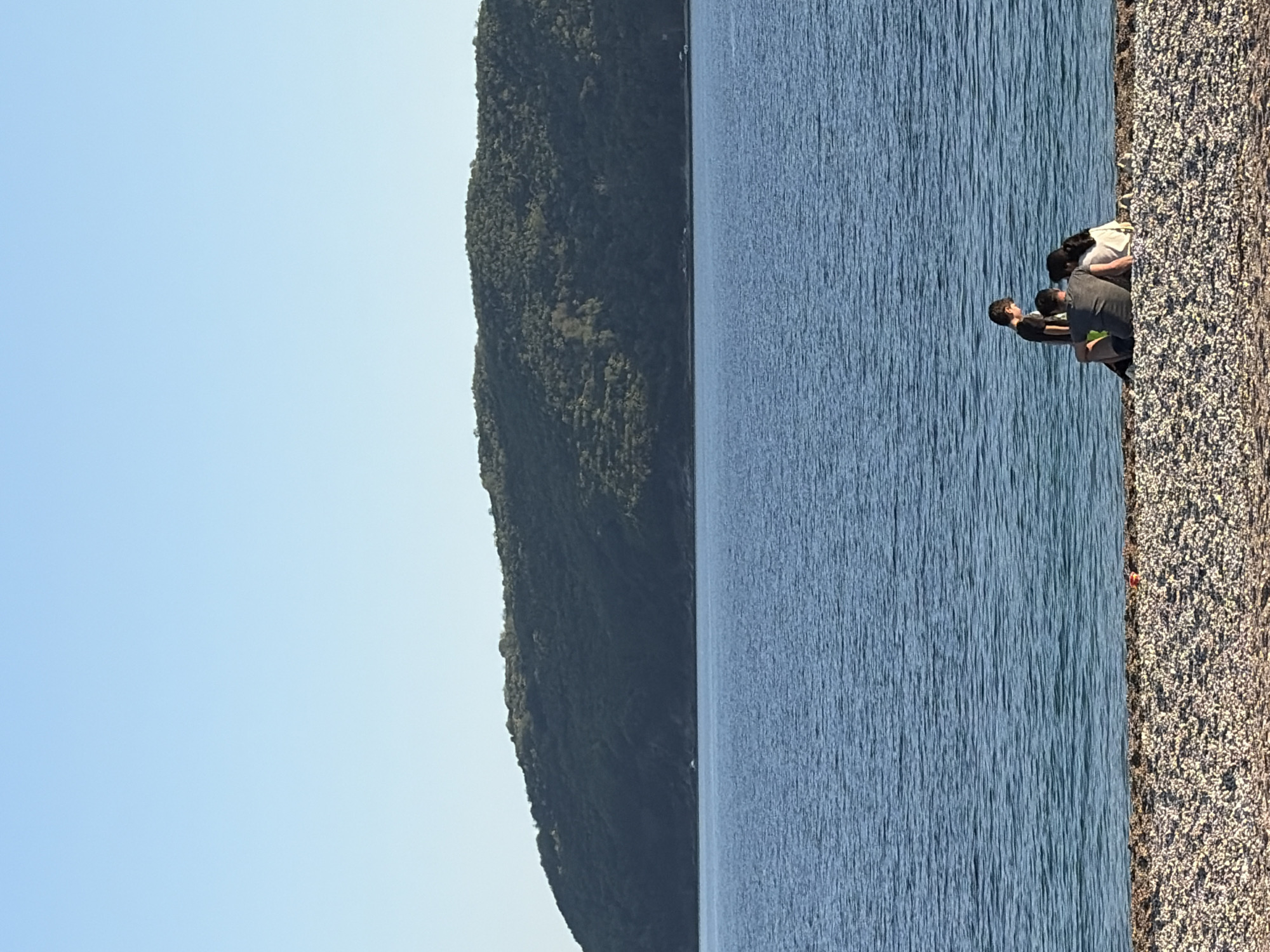 The image captures a scenic view of a lake or sea bordered by a lush, forested hillside on the left and a rocky shoreline on the right. The sky is a clear, pale blue. A group of people are clustered on the shoreline, appearing to be looking down or interacting with something on the ground. Their clothing is casual, and their postures suggest a focused attention on a specific area. The water is calm and displays a textured surface due to ripples or waves.