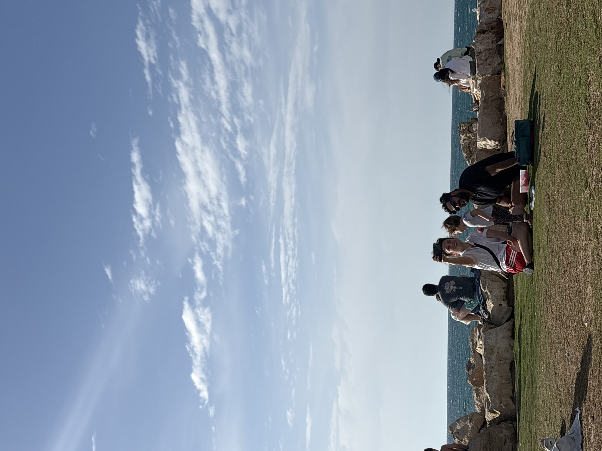 The image depicts a group of people gathered on a grassy verge alongside a rocky ledge. Beyond the ledge lies a body of water, likely the Mediterranean Sea, with a clear sky above. The scene seems to be in Tel-Aviv, Israel. A few individuals are looking down towards the water from the ledge, possibly observing something in the sea. Others are standing or sitting on the grassy area. One person is taking a photo or video. The overall impression is a relaxed gathering in a coastal location.