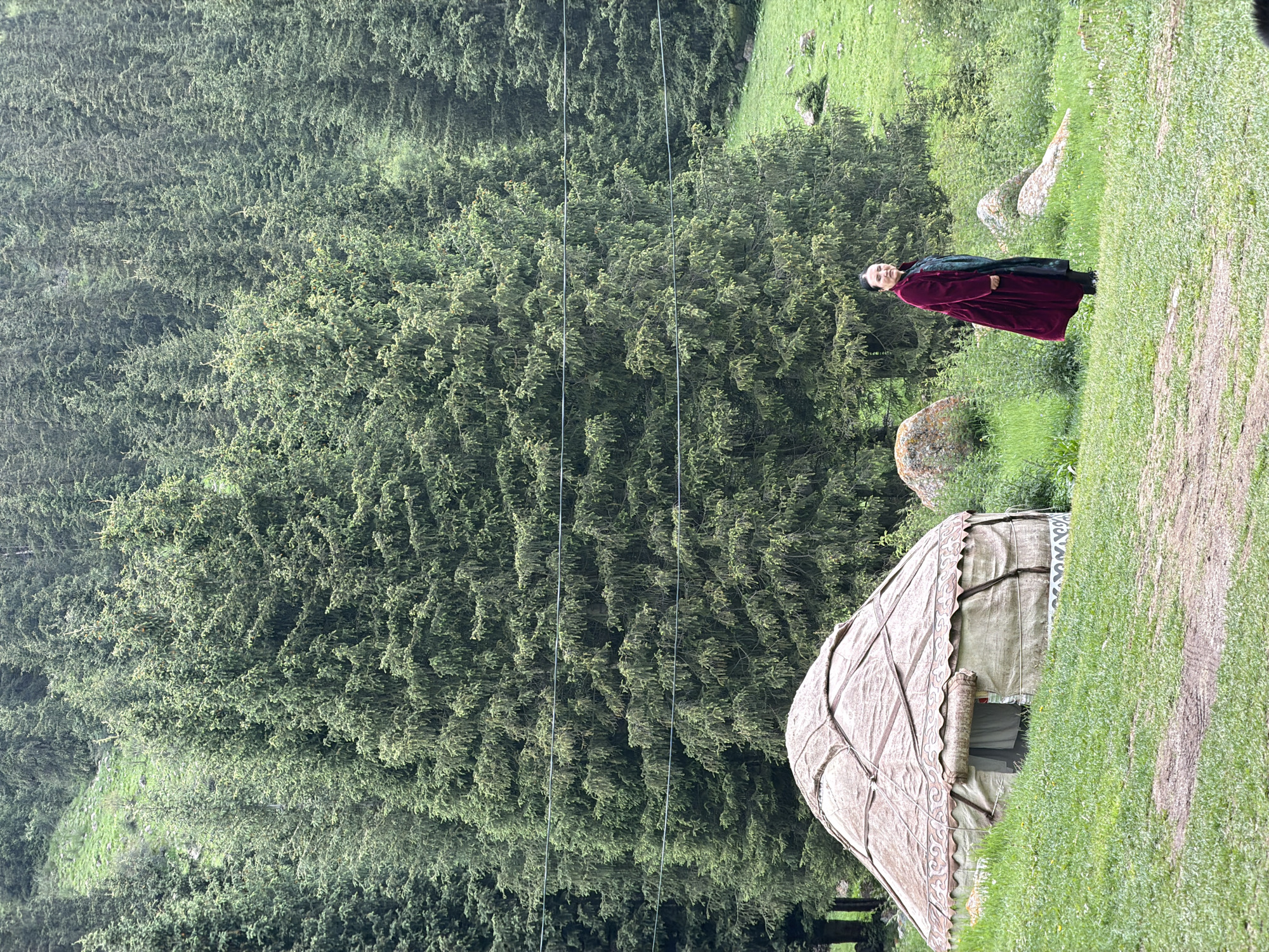A woman in a long, dark red coat and a blue-green patterned dress stands in a grassy clearing in front of a dense forest of evergreen trees. To her left, a traditional yurt with a peaked roof and canvas walls is situated on the grass. The environment appears to be a natural landscape, possibly a mountain meadow, given the terrain and the presence of large rocks scattered amongst the vegetation. The sky is overcast, contributing to the overall soft lighting of the scene.